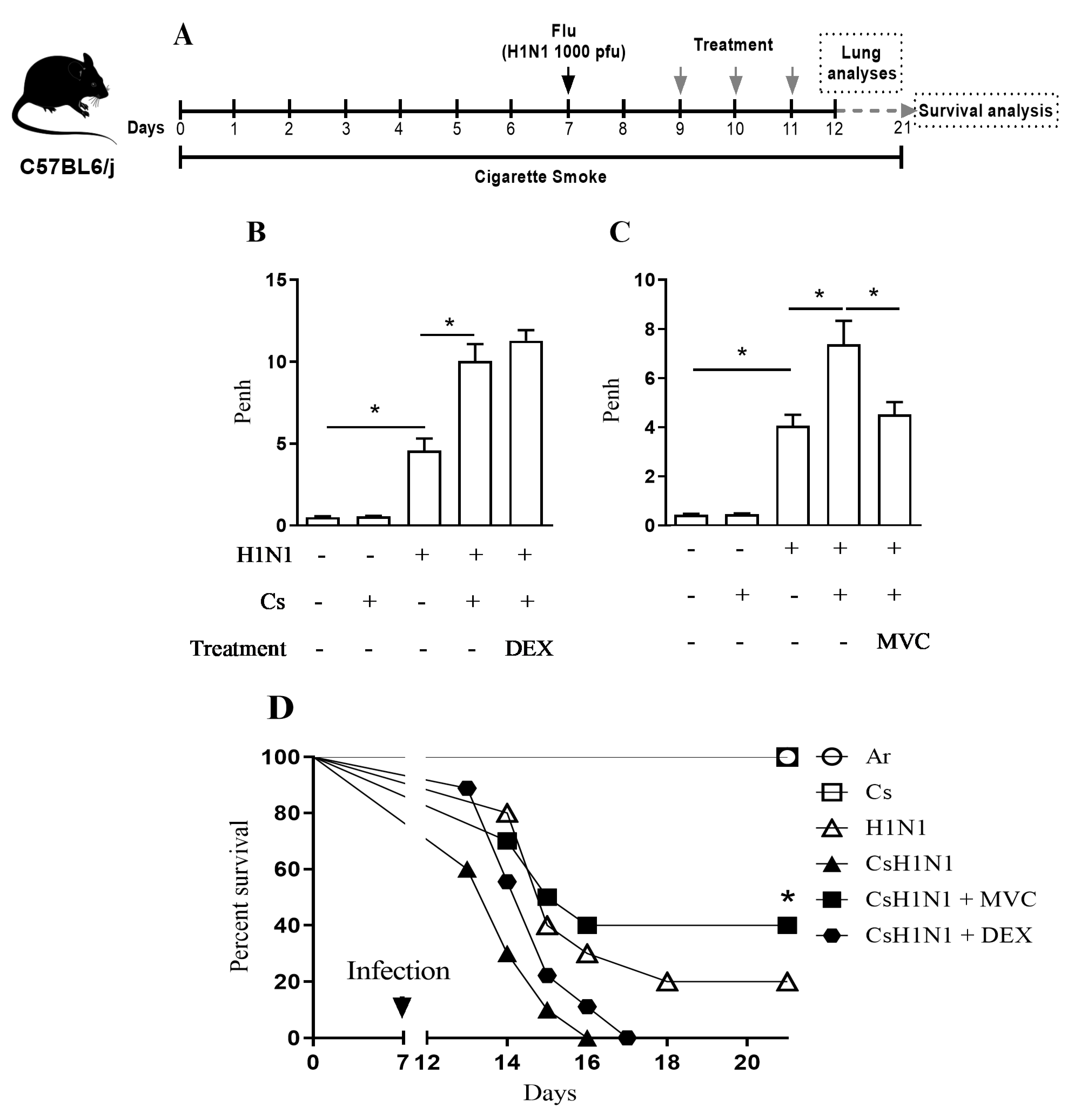 Pharmaceuticals 14 00620 g001