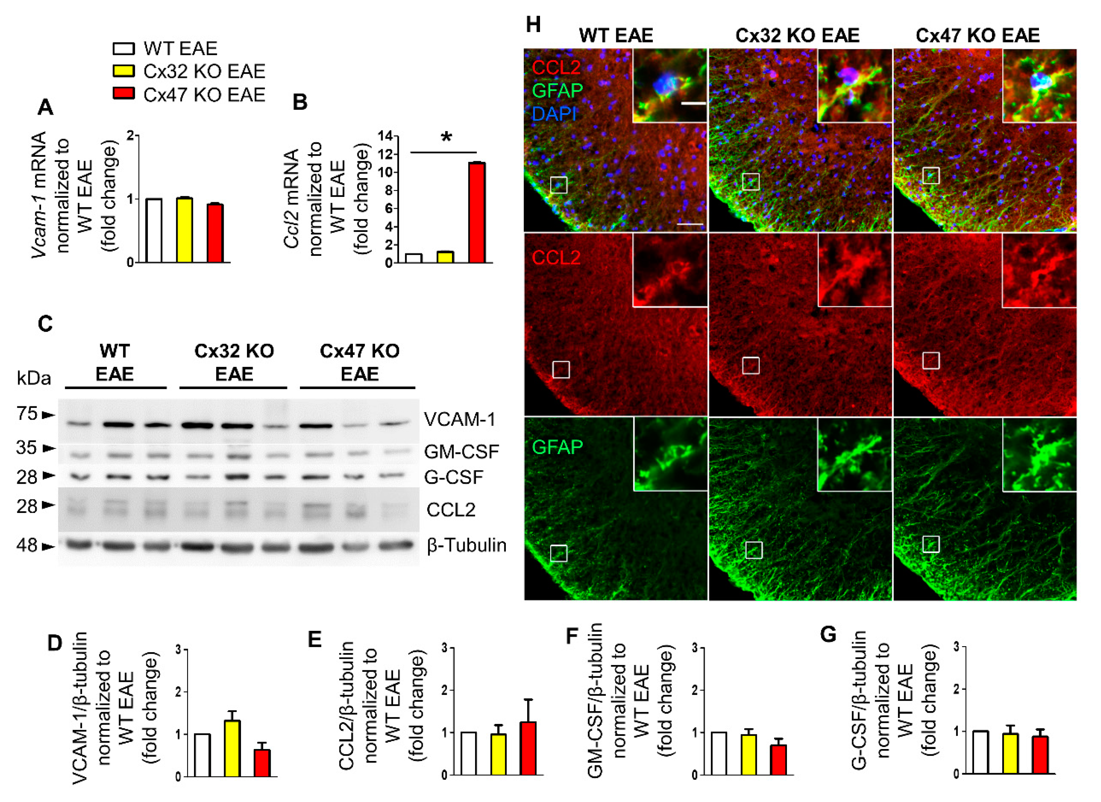 Pharmaceuticals 14 00621 g003