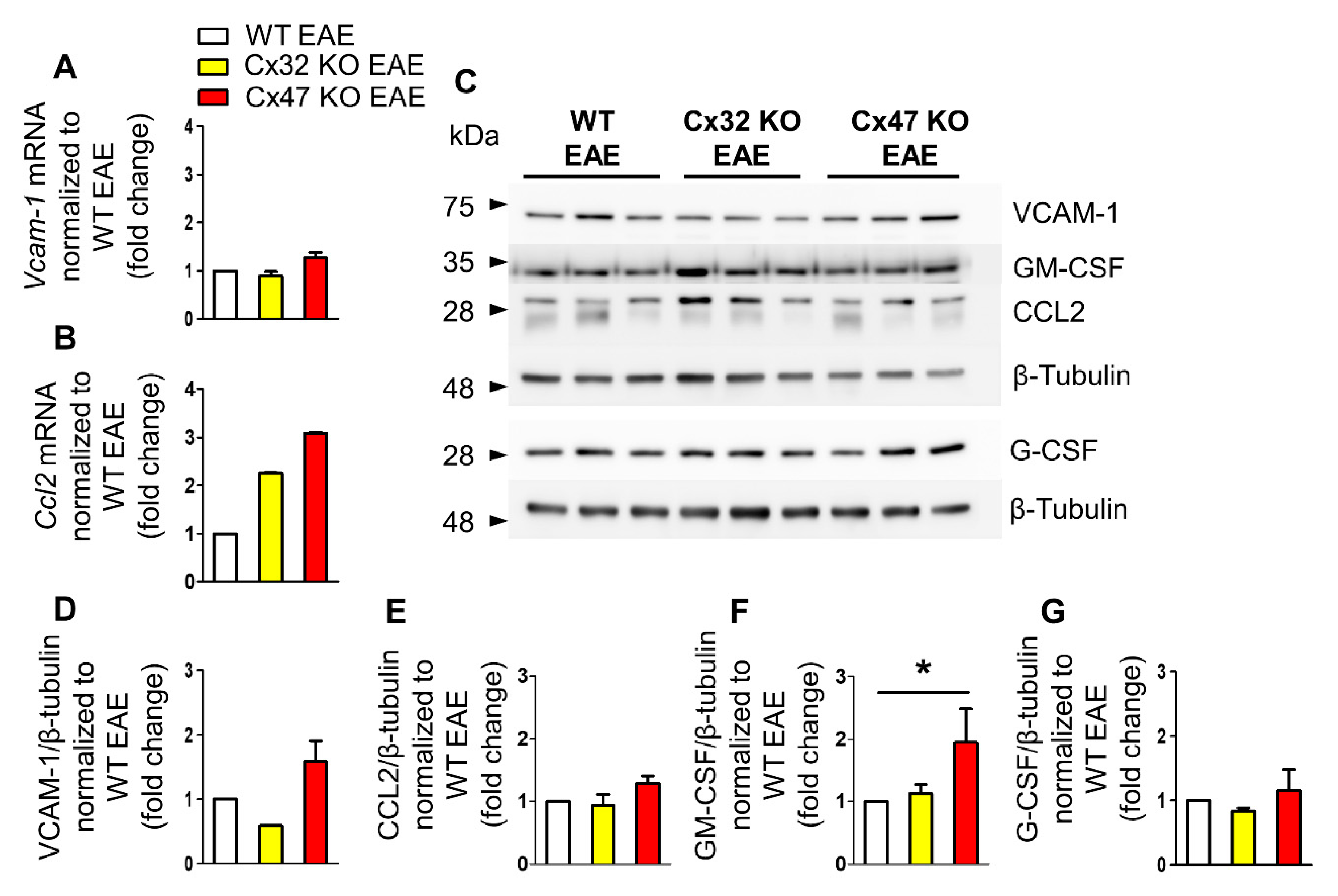 Pharmaceuticals 14 00621 g004