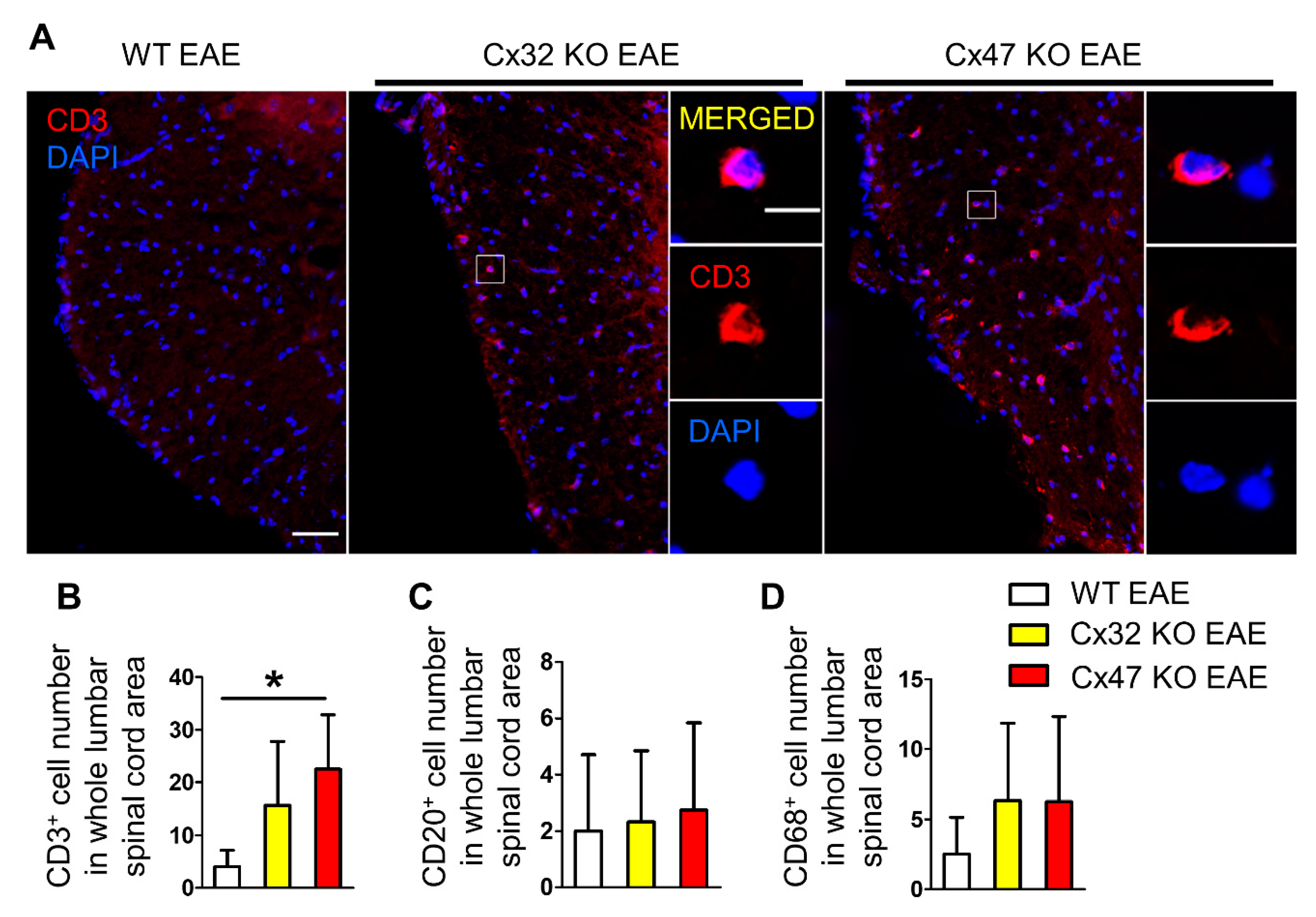 Pharmaceuticals 14 00621 g005