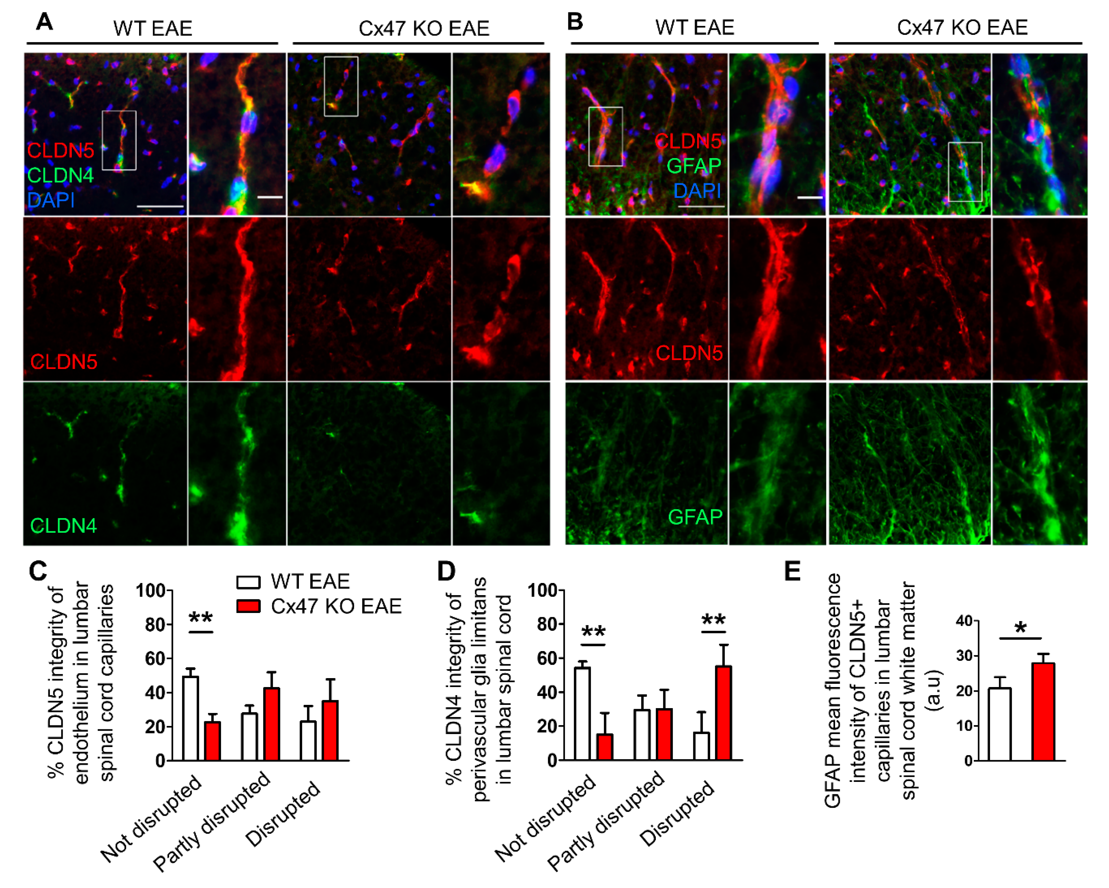 Pharmaceuticals 14 00621 g006