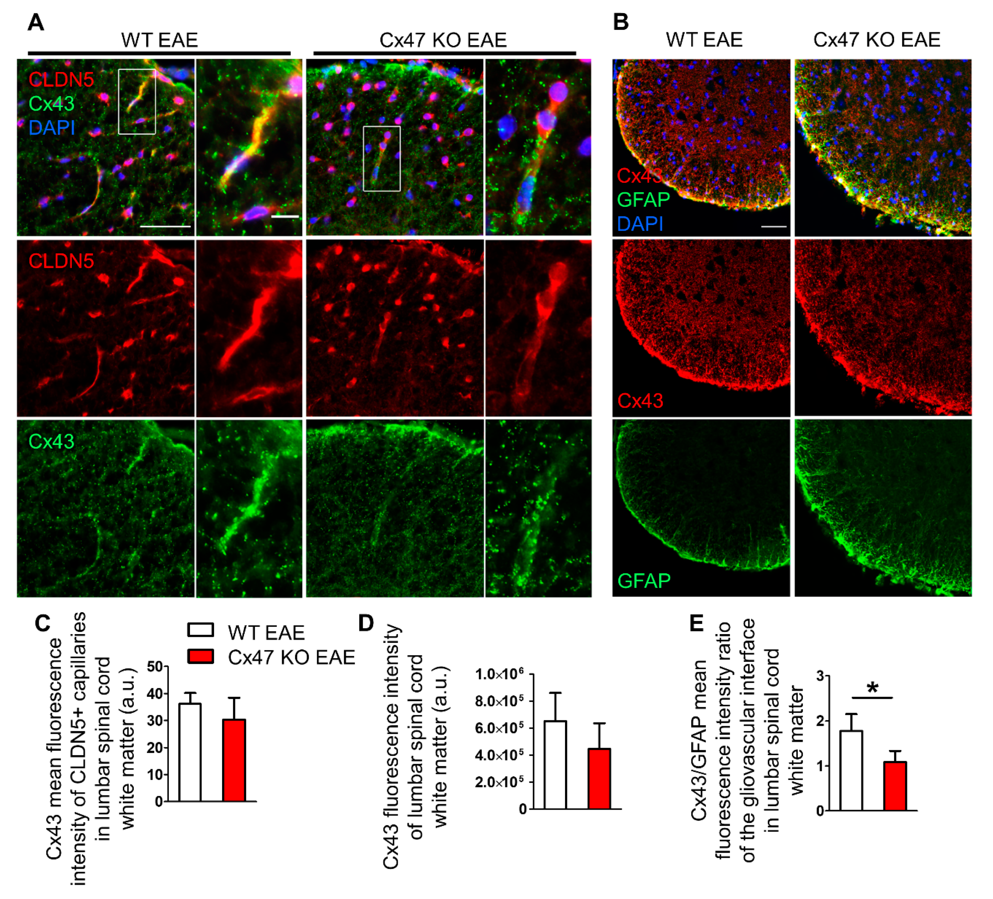 Pharmaceuticals 14 00621 g007