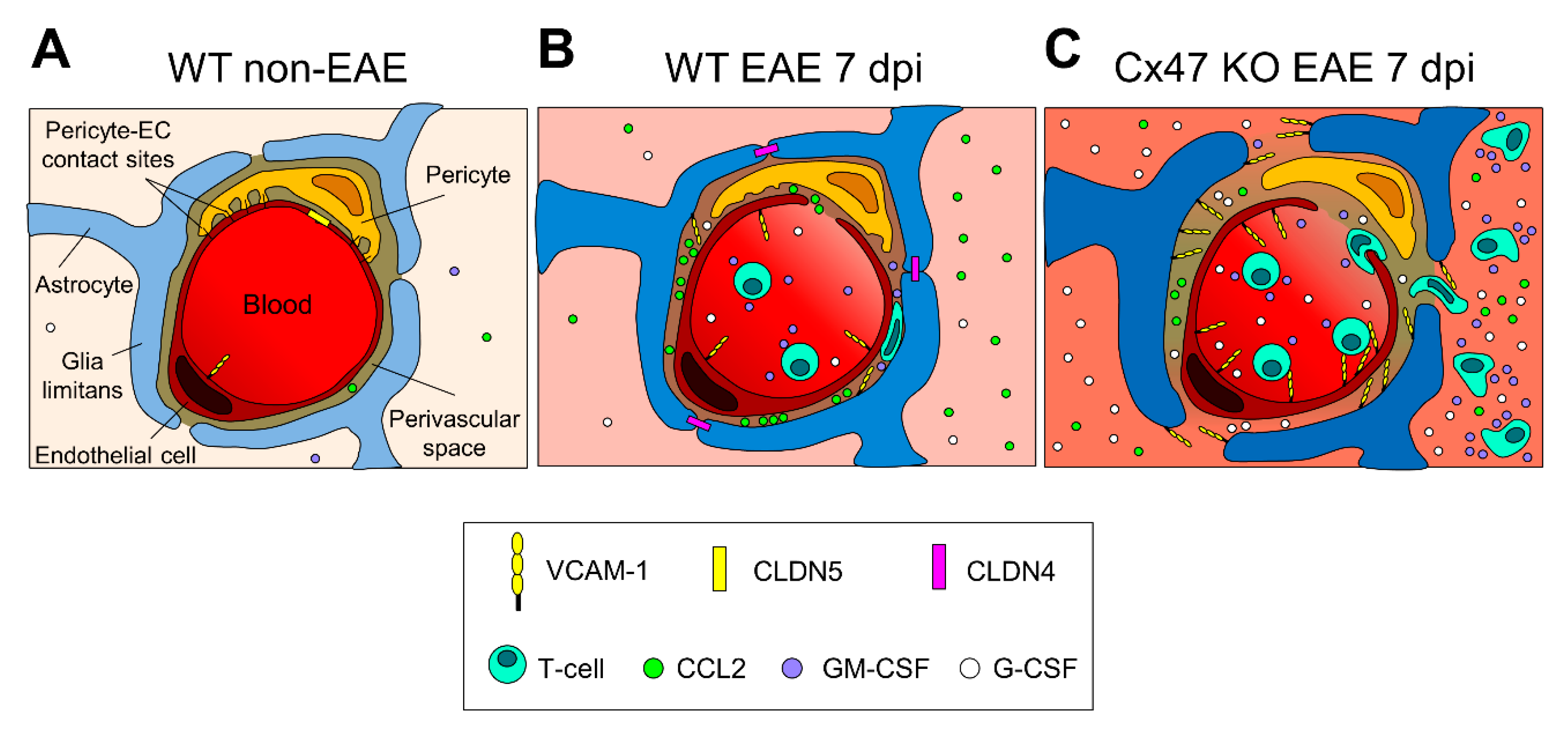 Pharmaceuticals 14 00621 g008