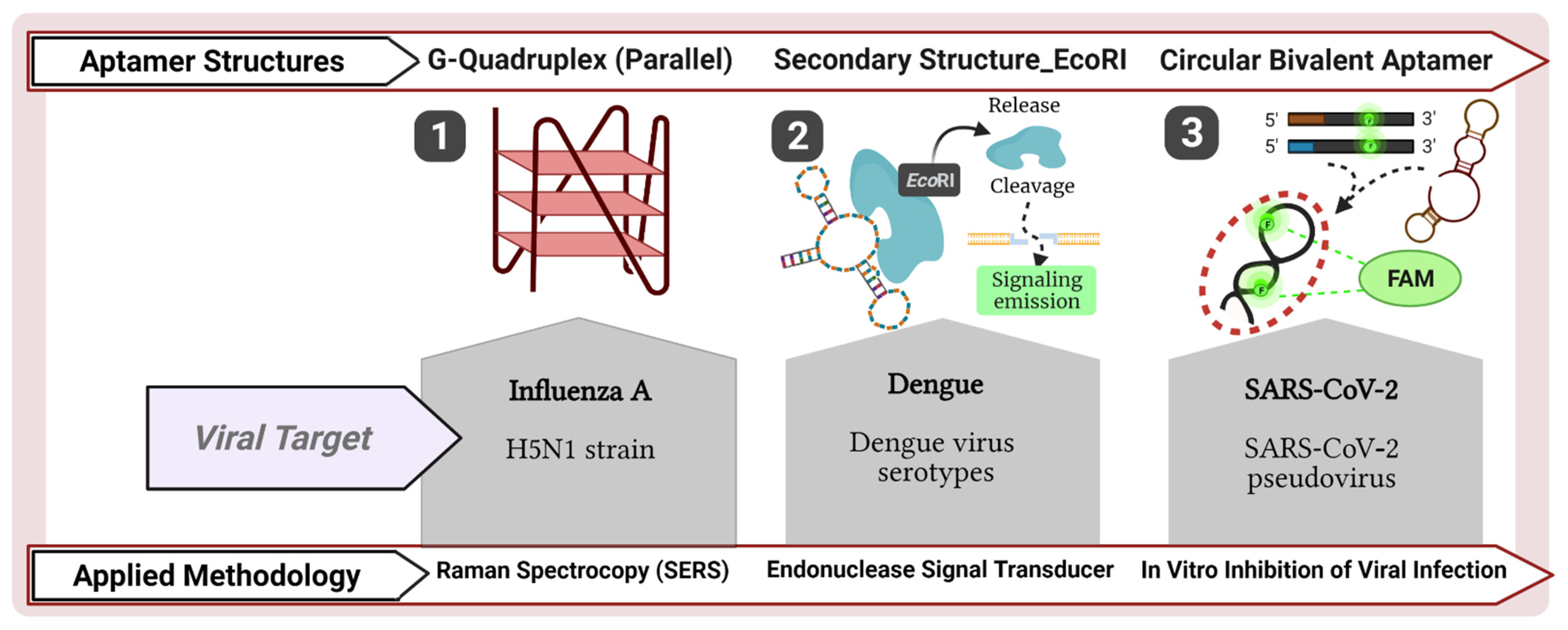 Pharmaceuticals 14 00622 g003
