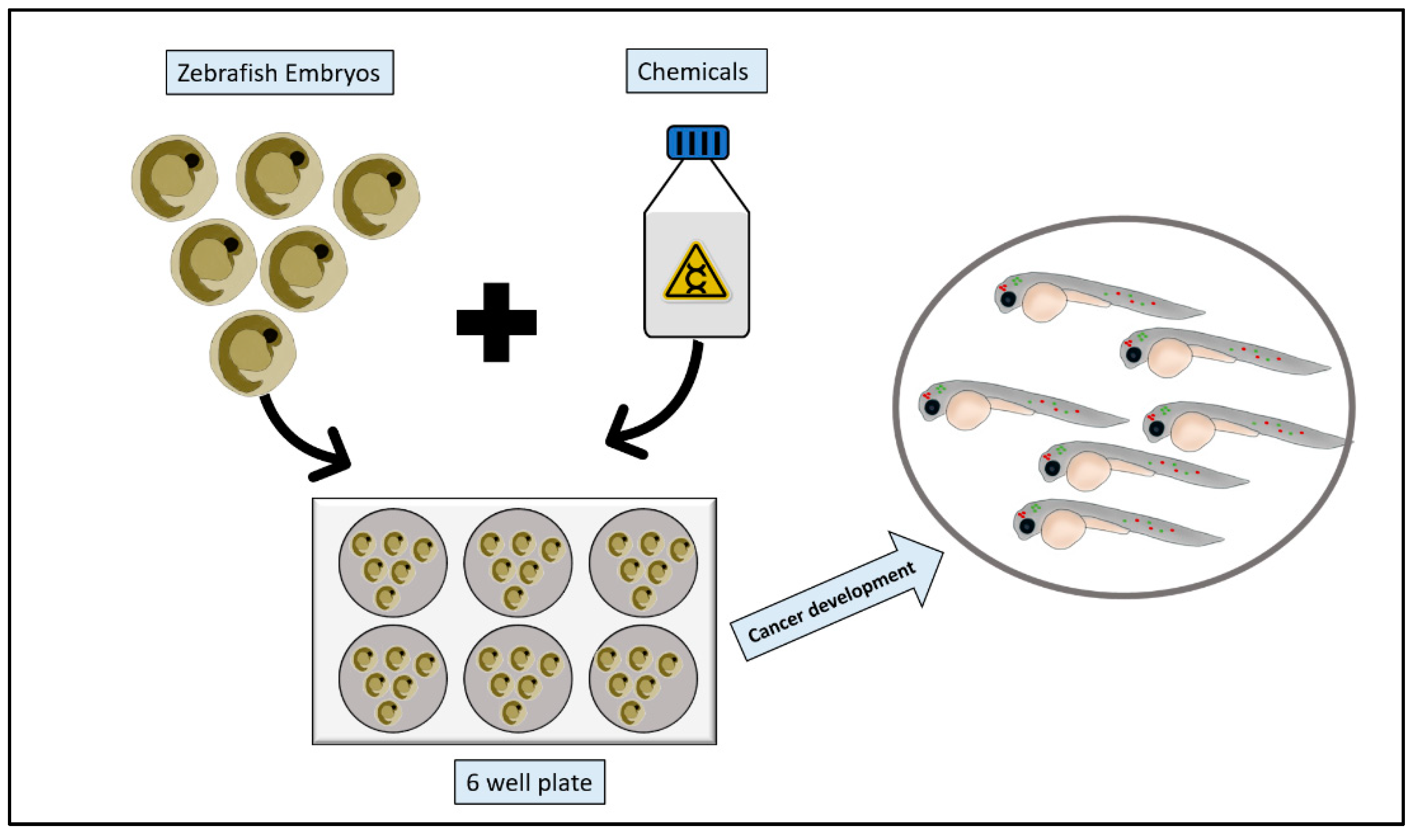 Pharmaceuticals 14 00625 g003 550