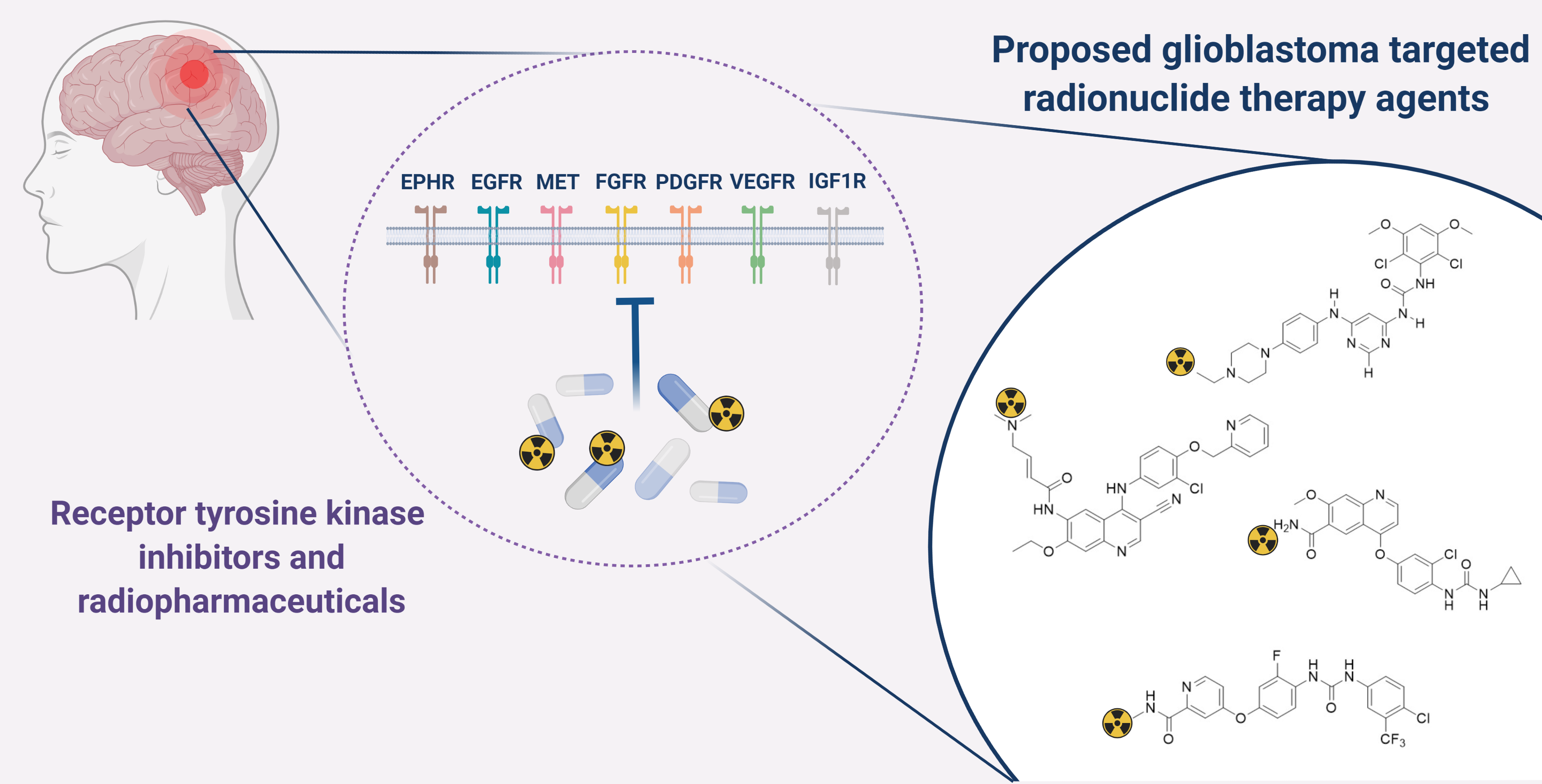 Pharmaceuticals Free Full Text Novel Receptor Tyrosine Kinase Pathway Inhibitors For Targeted Radionuclide Therapy Of Glioblastoma Html