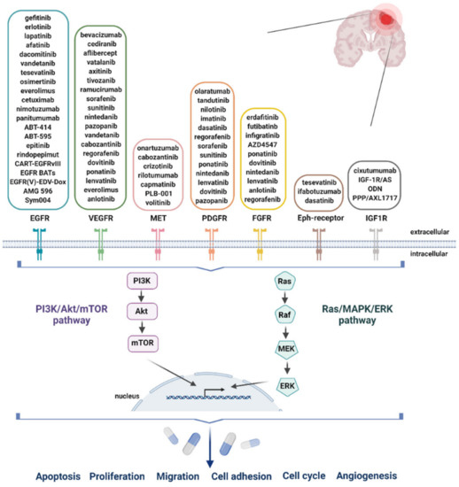 Novel Receptor Tyrosine Kinase Pathway Inhibitors for Targeted ...