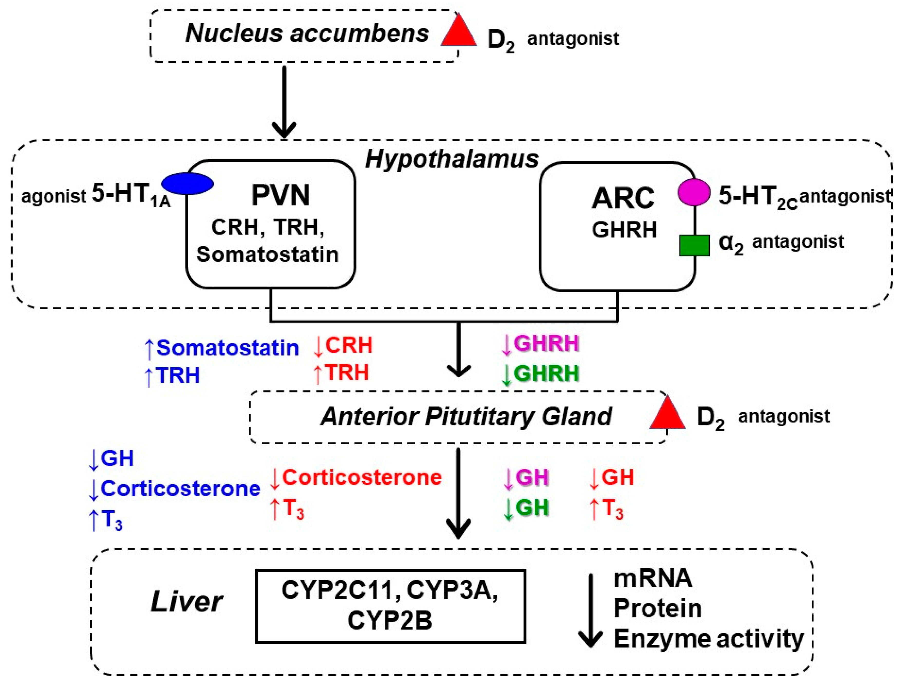 Pharmaceuticals 14 00629 g005 Pharmaceuticals 14 00629 g005