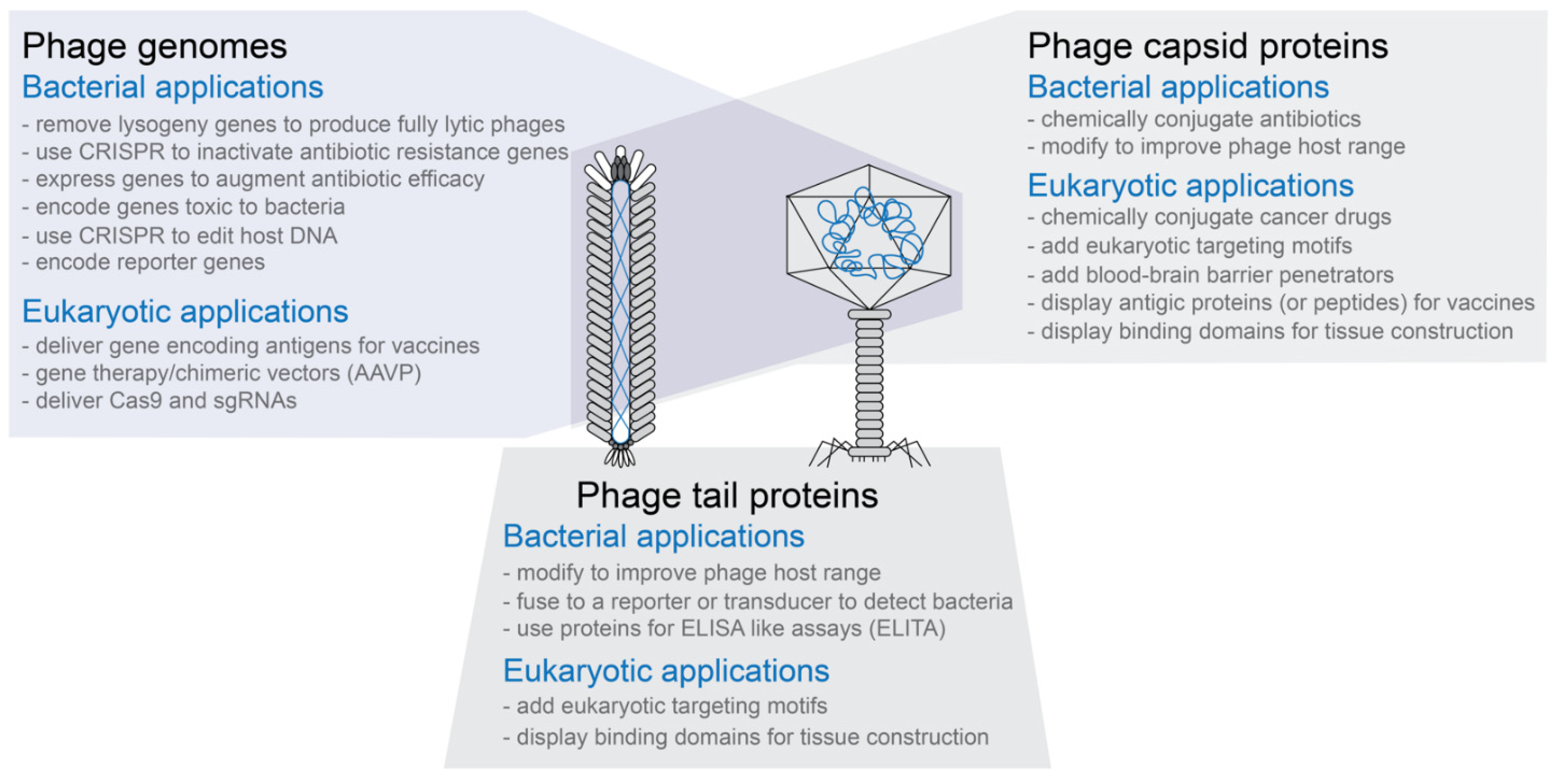 Pharmaceuticals 14 00634 g001 Pharmaceuticals 14 00634 g001