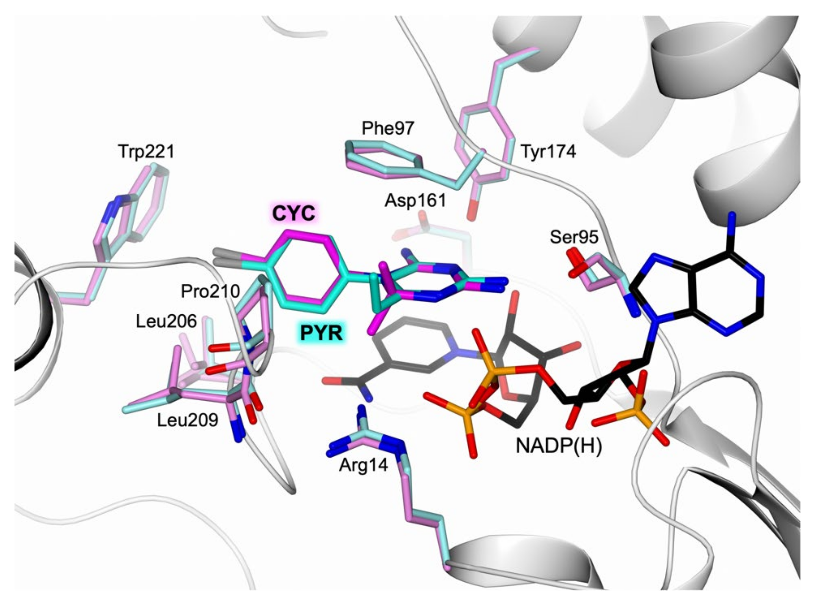 Pharmaceuticals 14 00636 g005 Pharmaceuticals 14 00636 g005