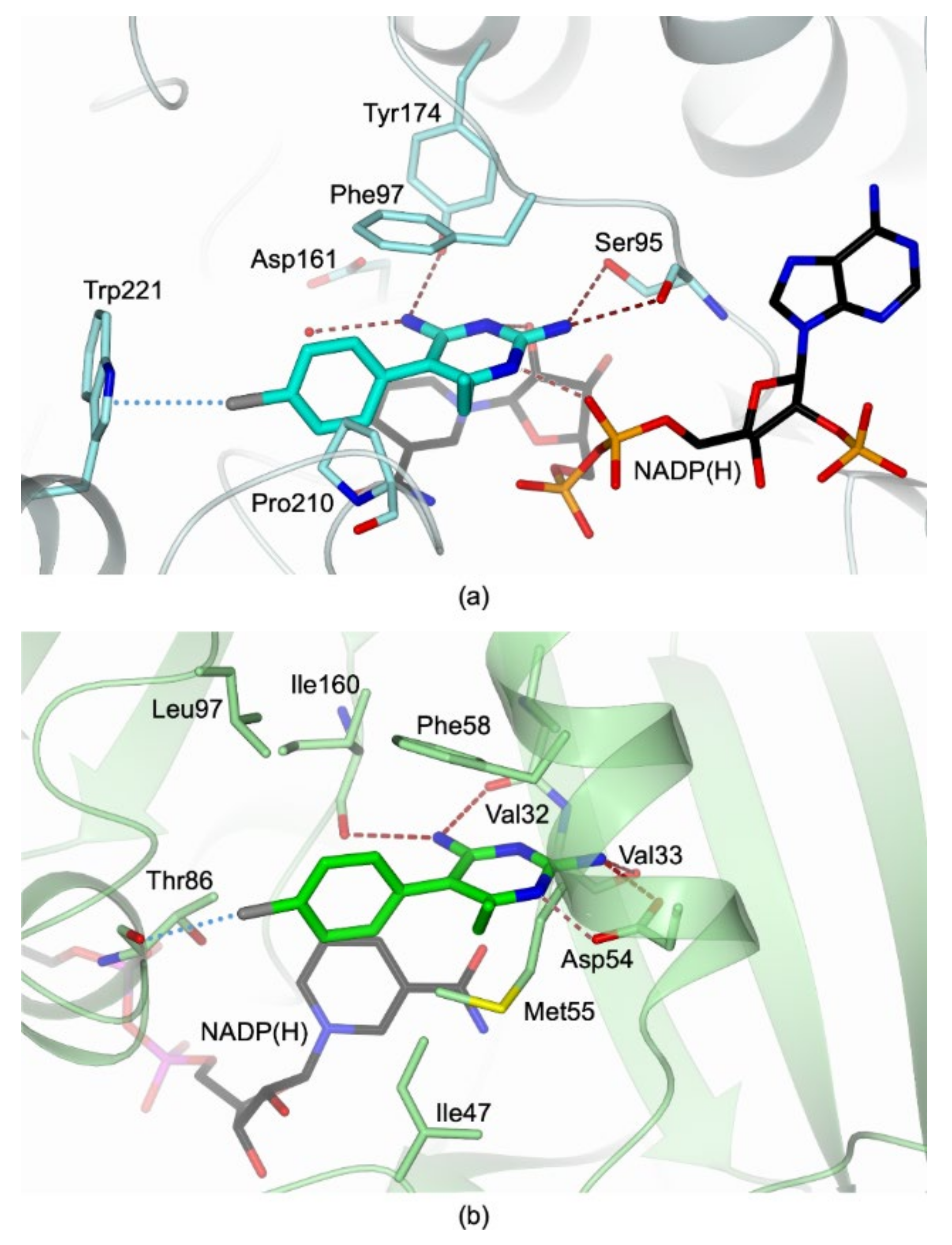 Pharmaceuticals 14 00636 g006 Pharmaceuticals 14 00636 g006