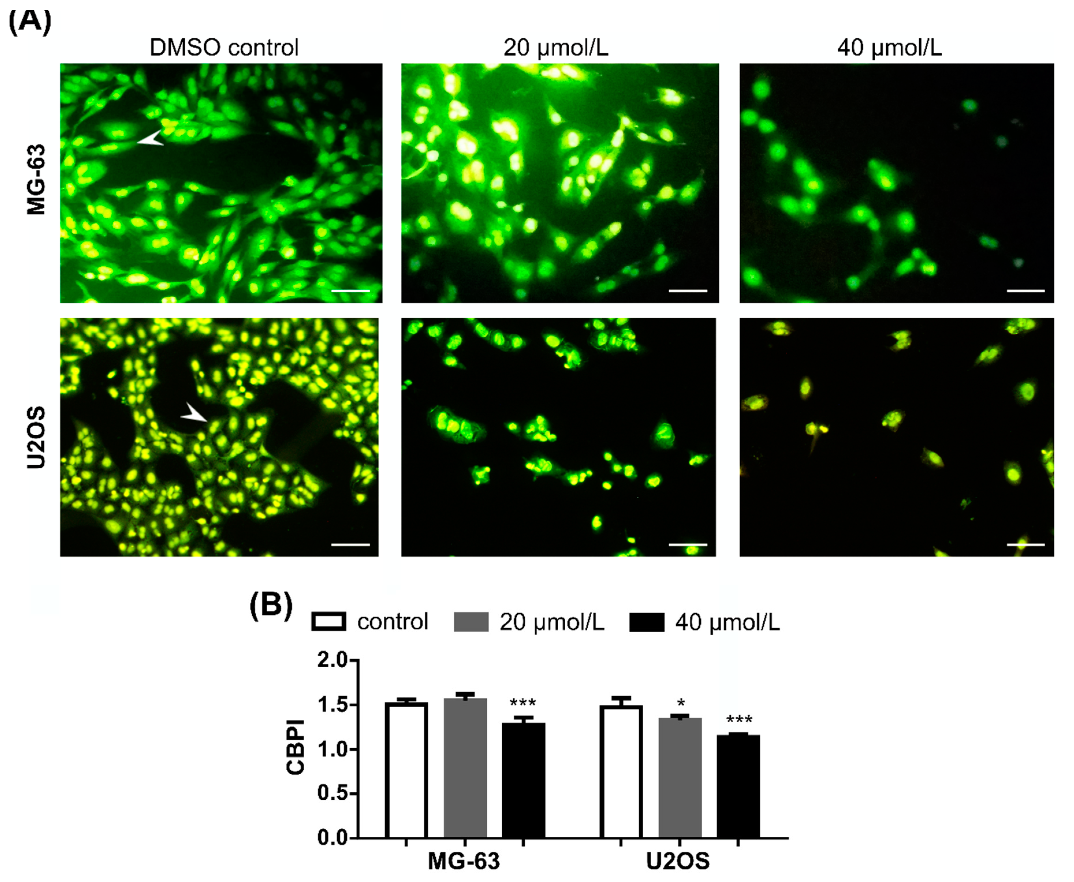Pharmaceuticals 14 00640 g005 550
