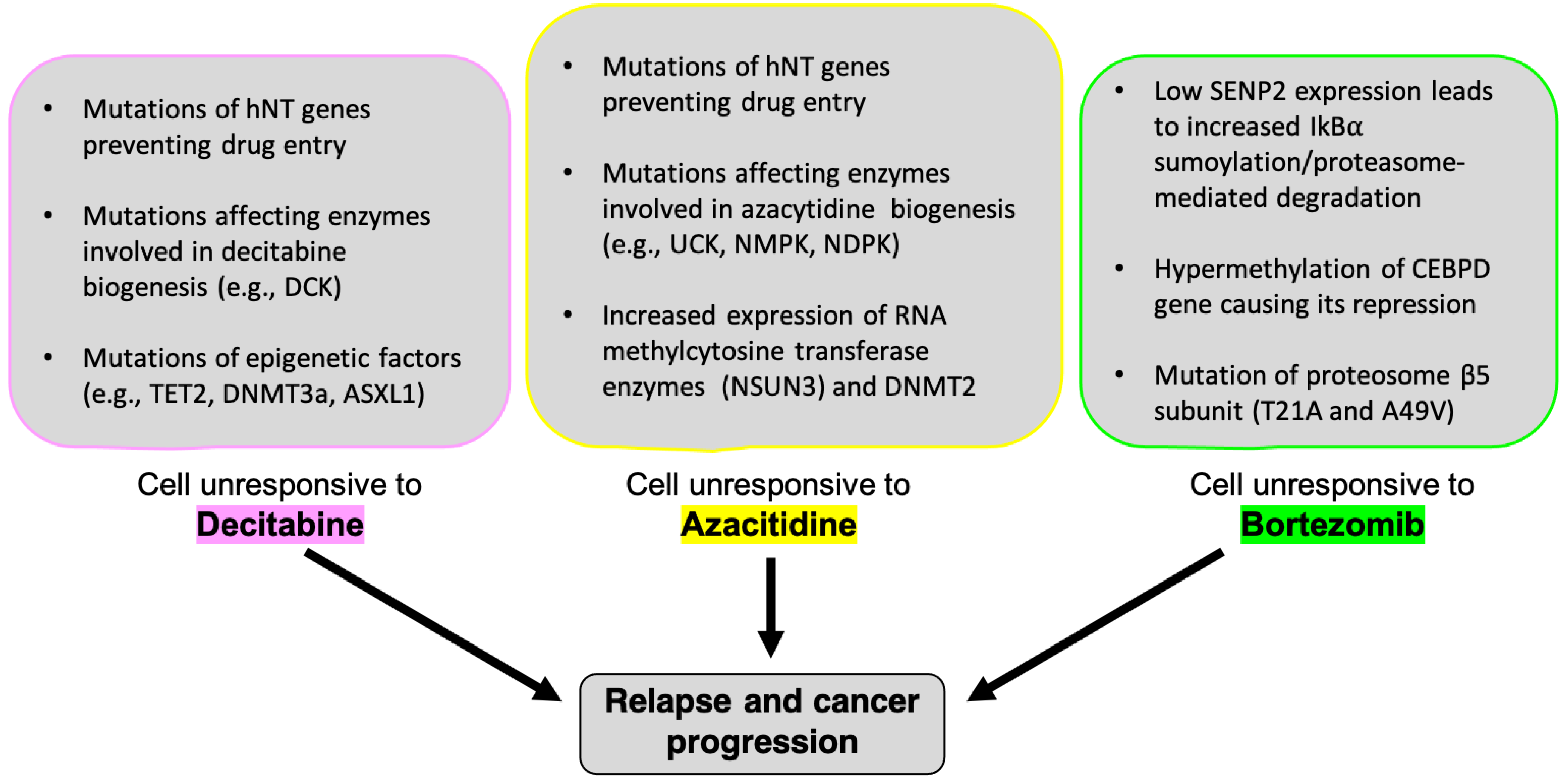 Pharmaceuticals 14 00641 g004 Pharmaceuticals 14 00641 g004
