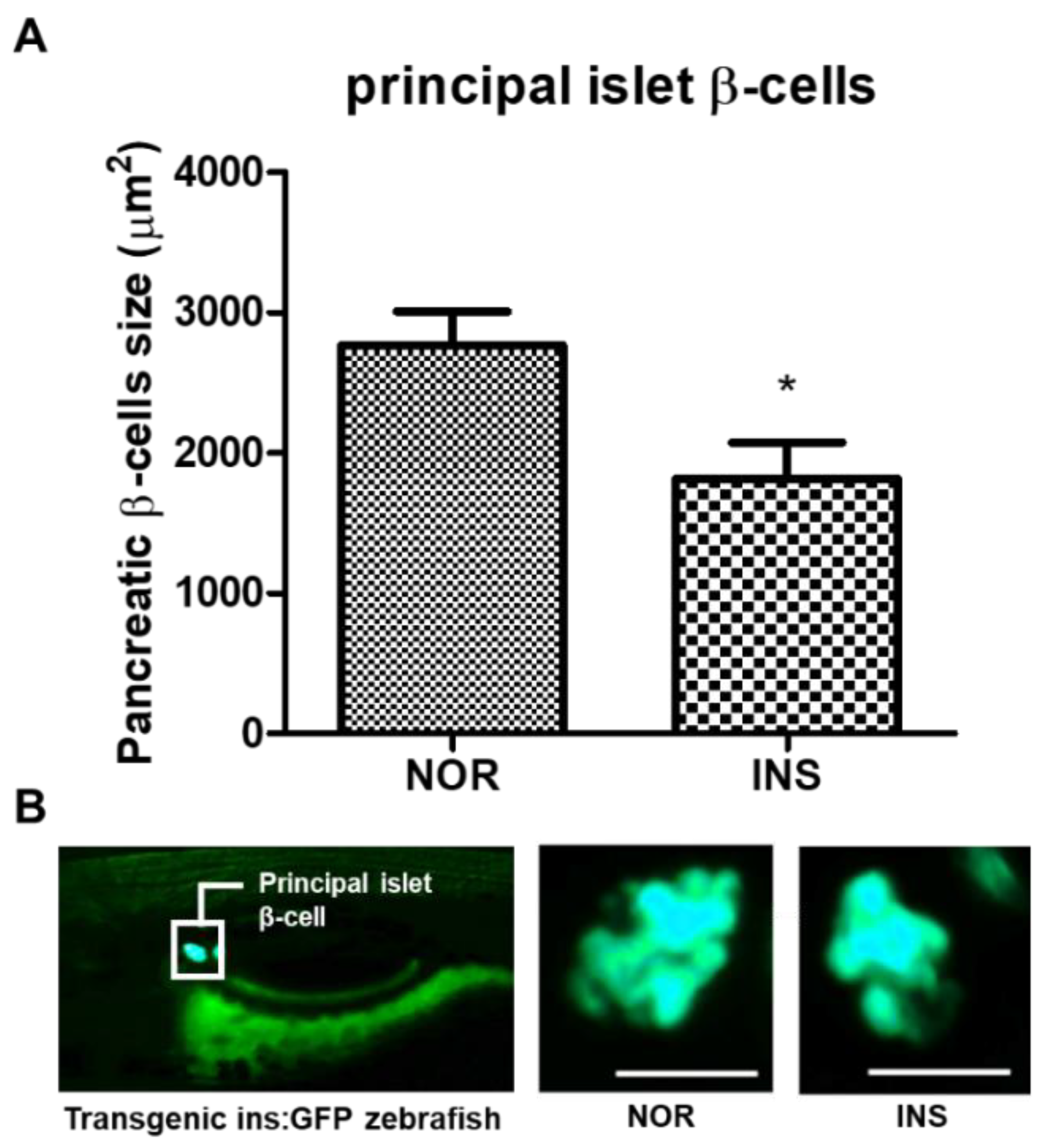 Pharmaceuticals 14 00642 g003 Pharmaceuticals 14 00642 g003