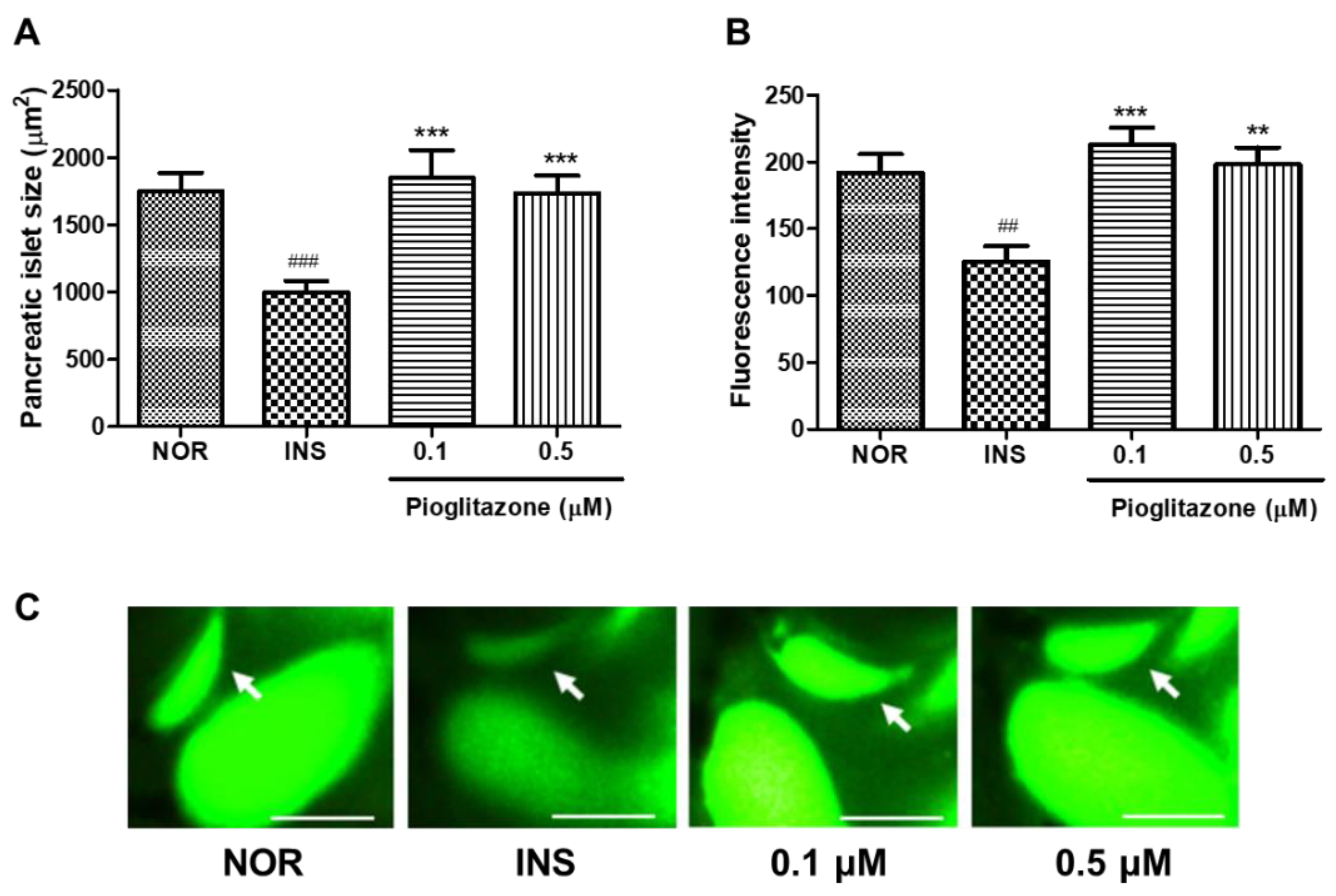 Pharmaceuticals 14 00642 g007 Pharmaceuticals 14 00642 g007