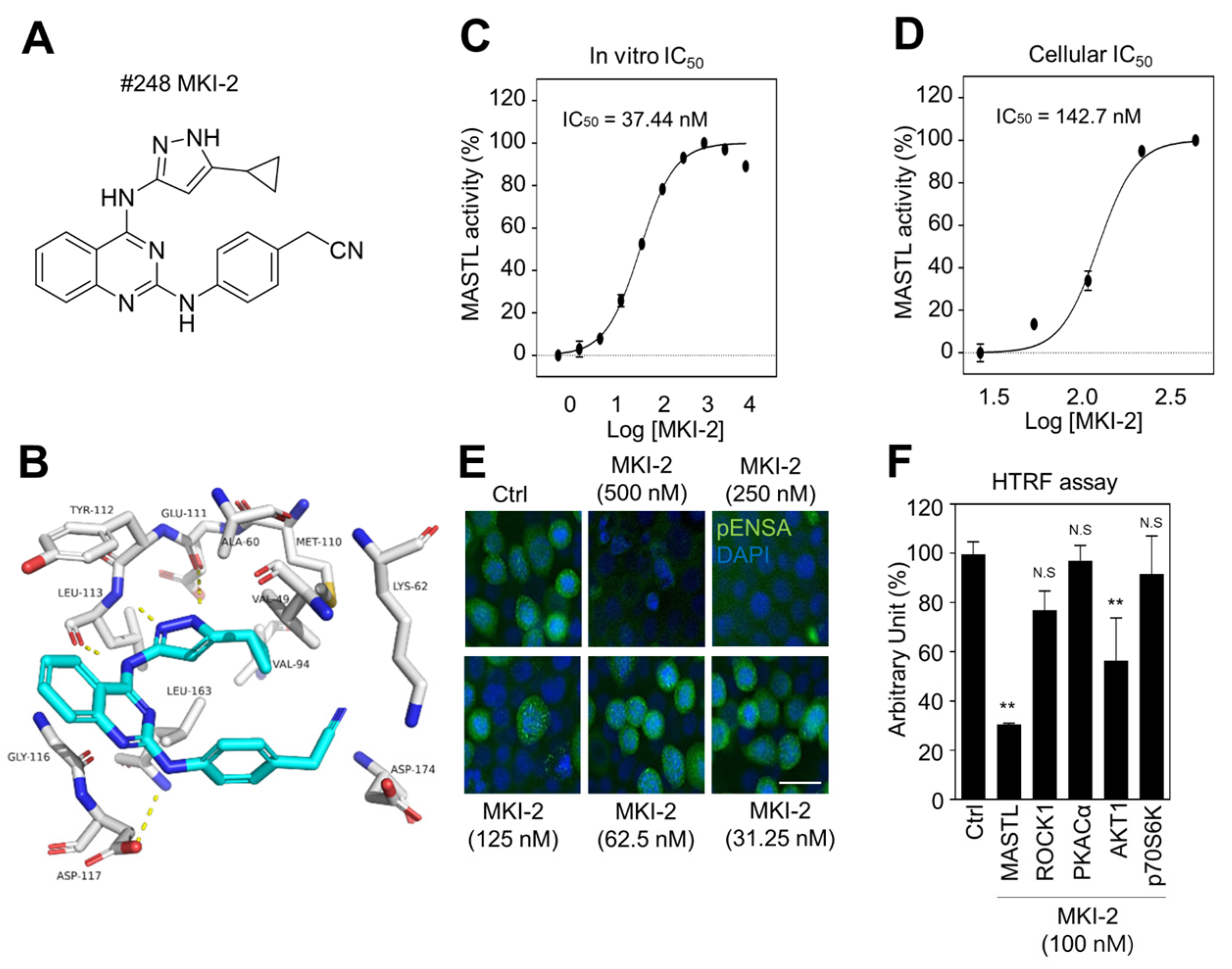 Pharmaceuticals 14 00647 g002