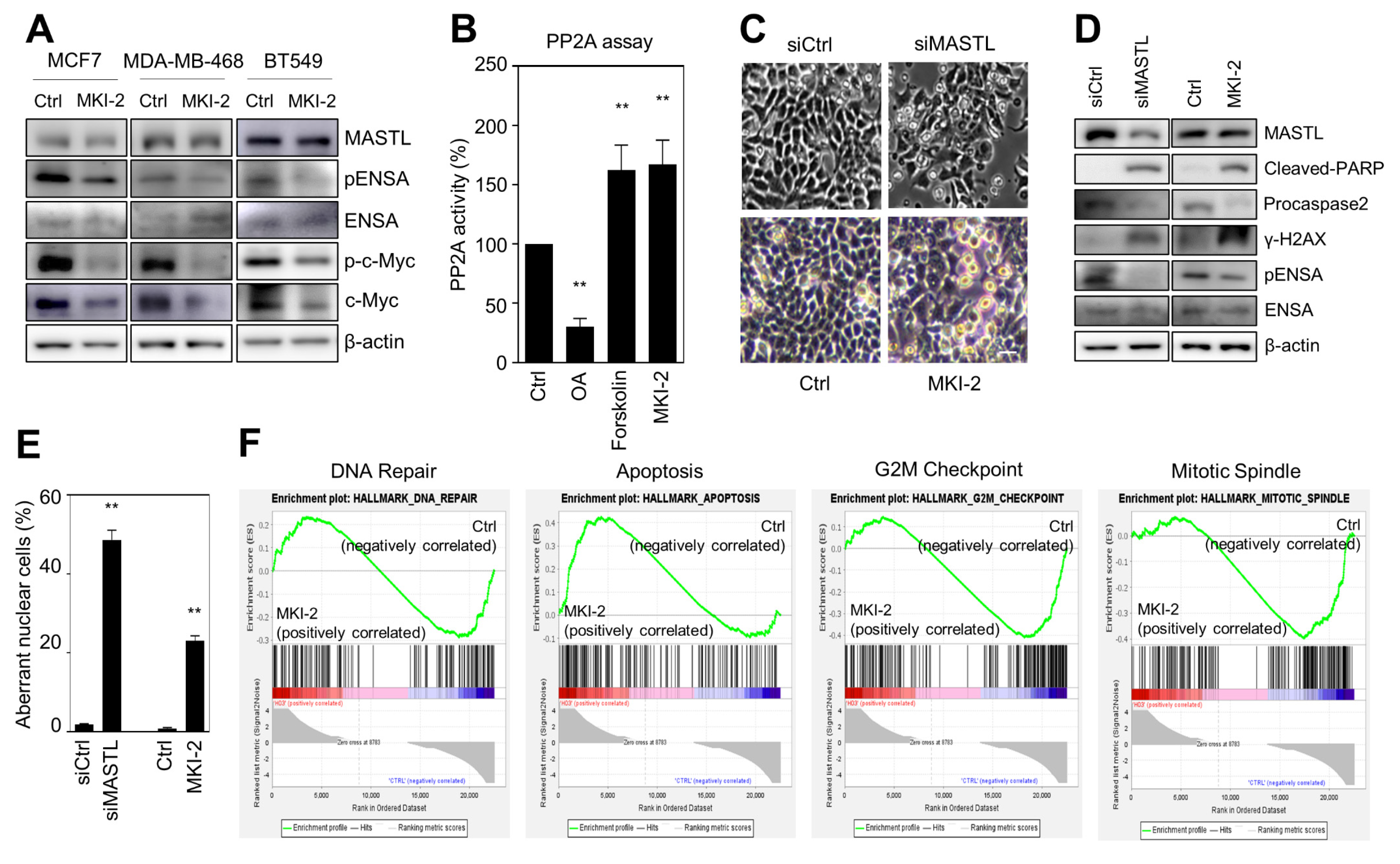 Pharmaceuticals 14 00647 g003