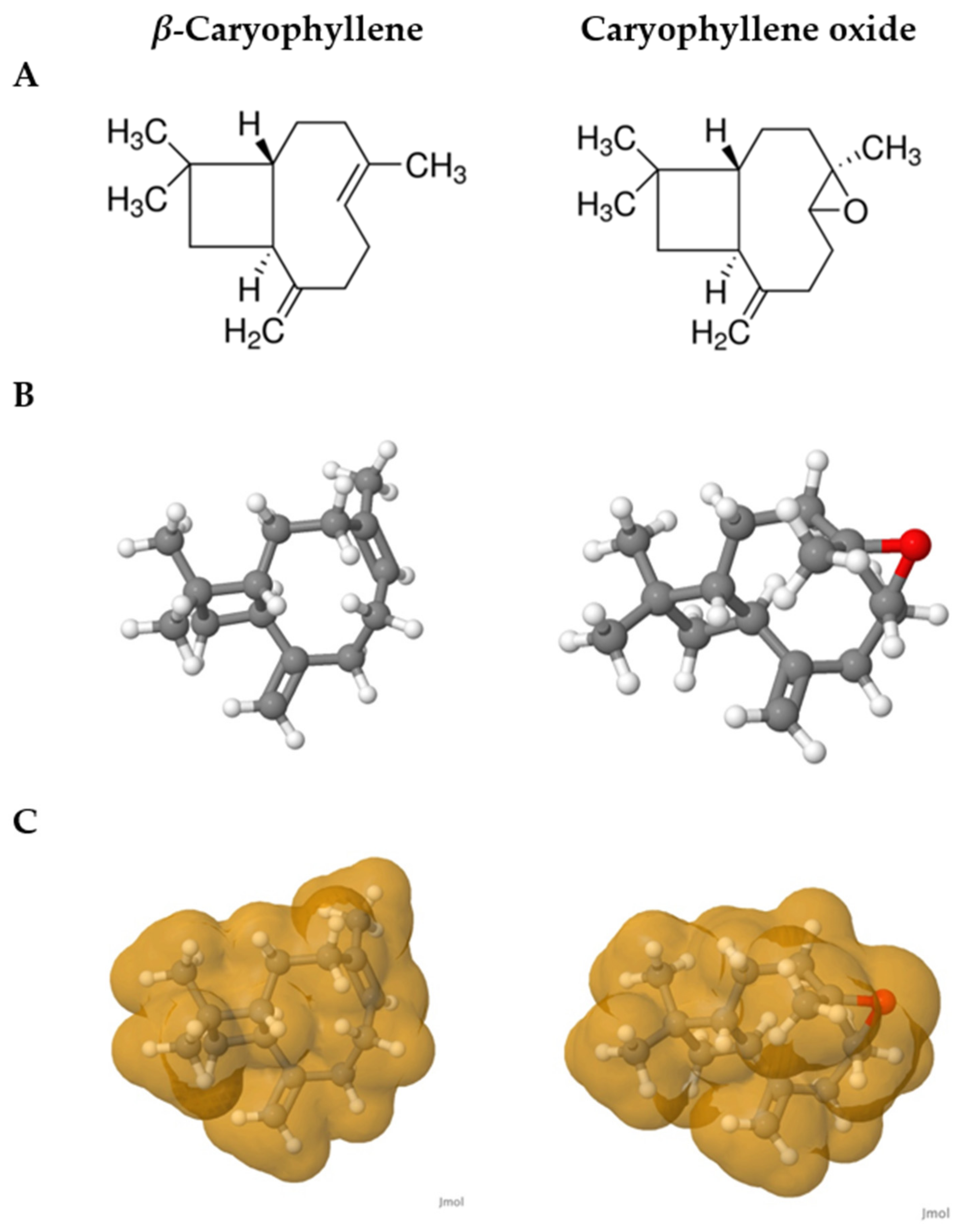 Pharmaceuticals 14 00651 g009 Pharmaceuticals 14 00651 g009
