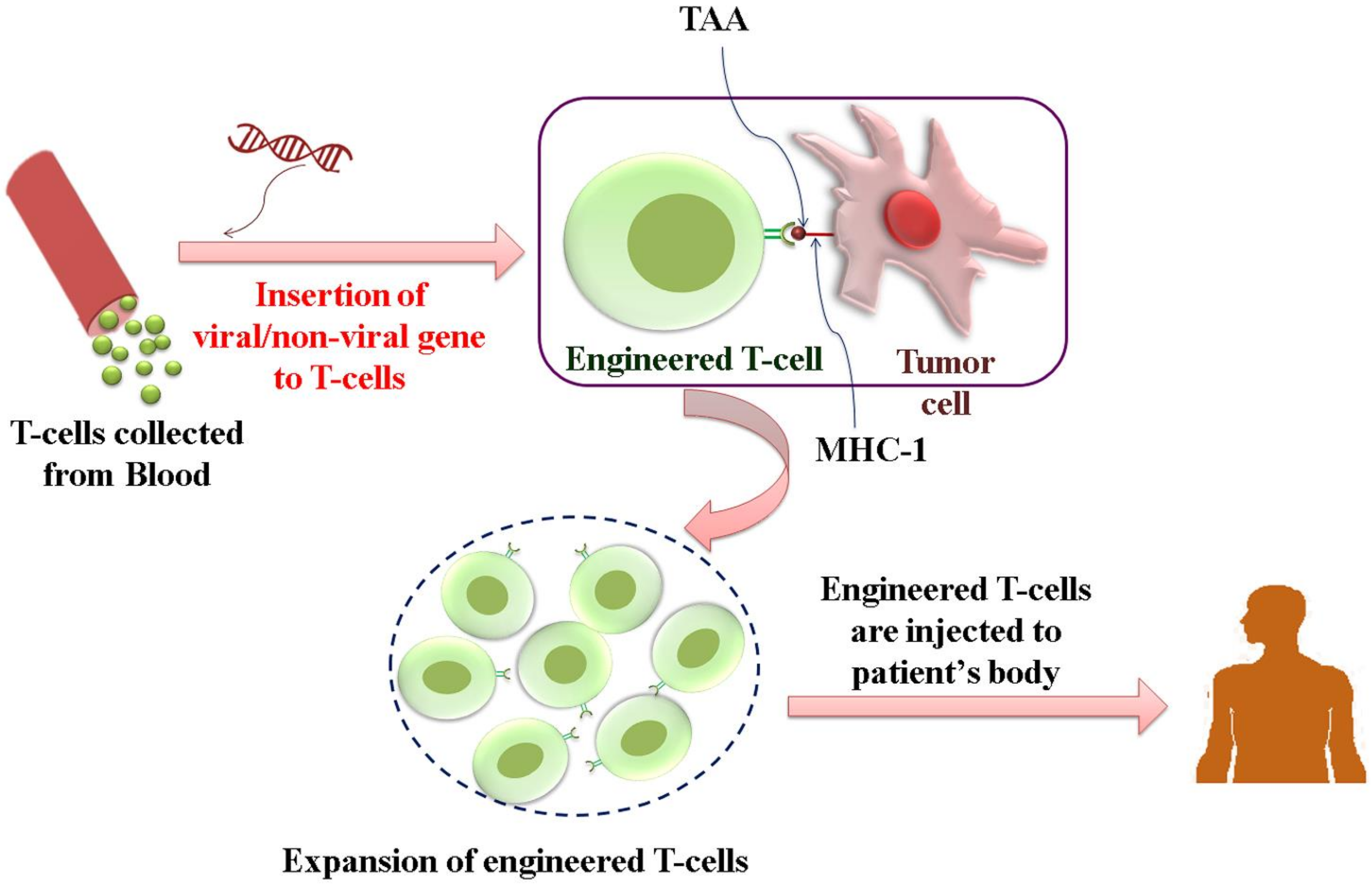 Pharmaceuticals 14 00656 g002