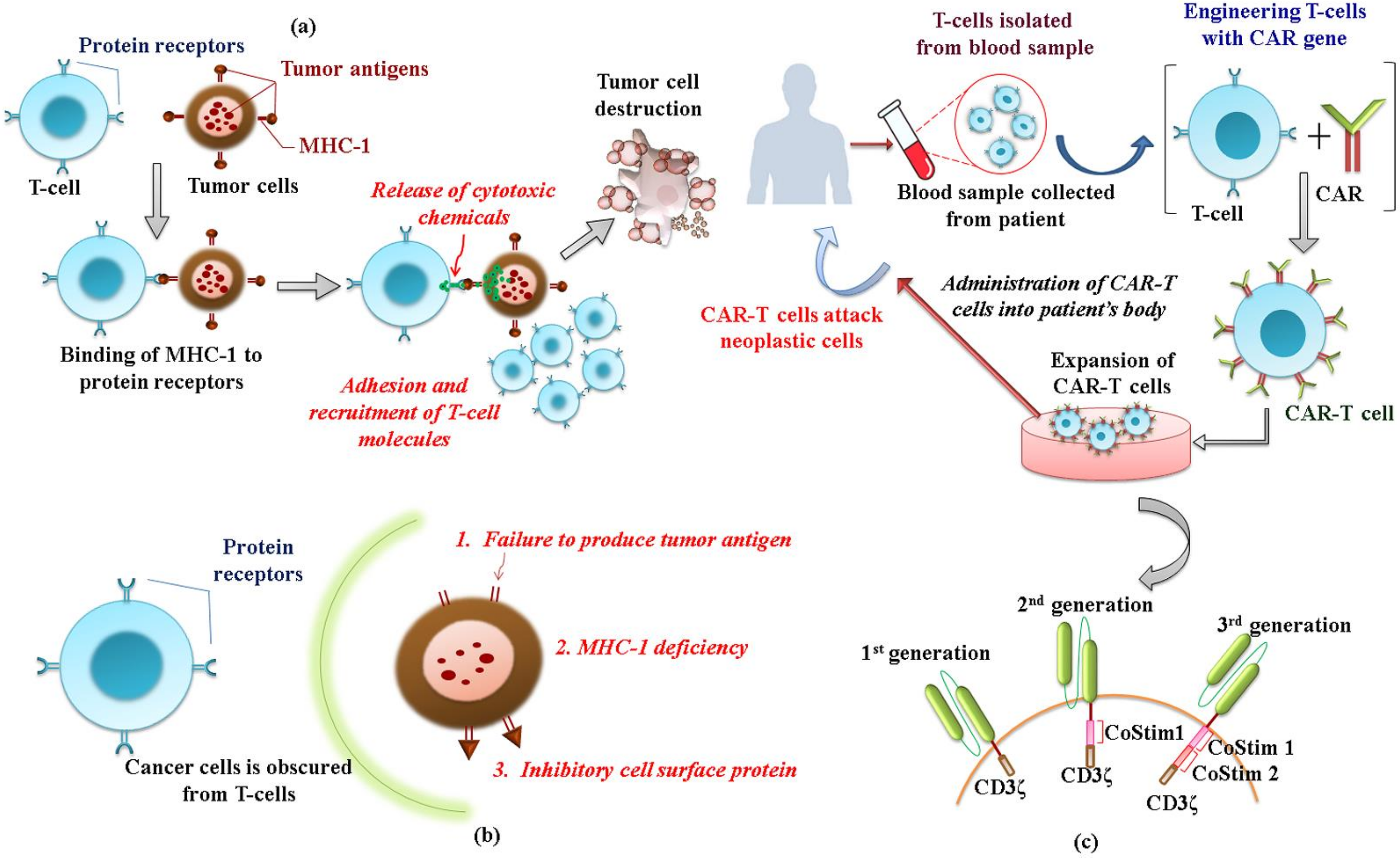Pharmaceuticals 14 00656 g003
