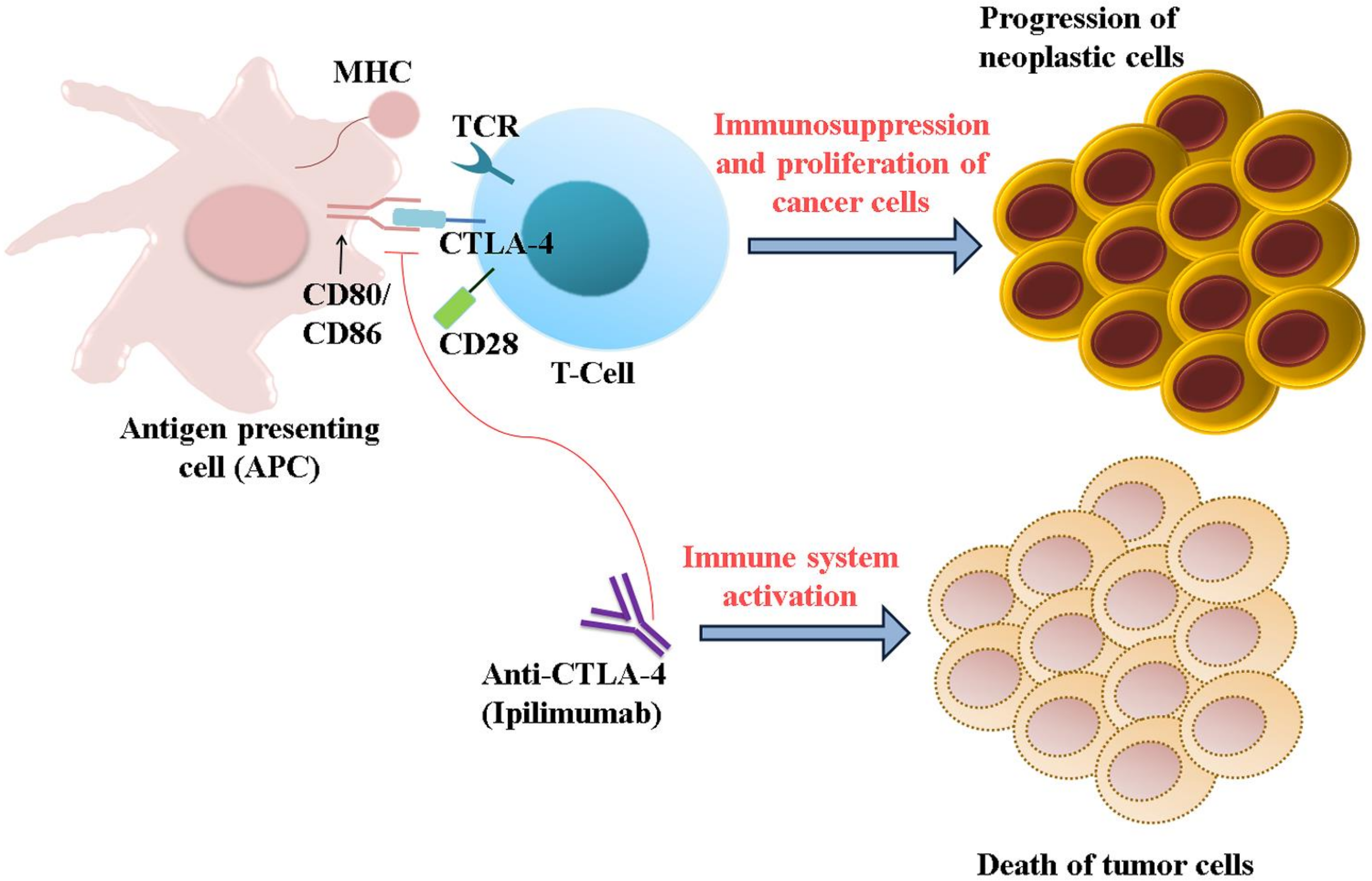 Pharmaceuticals 14 00656 g005