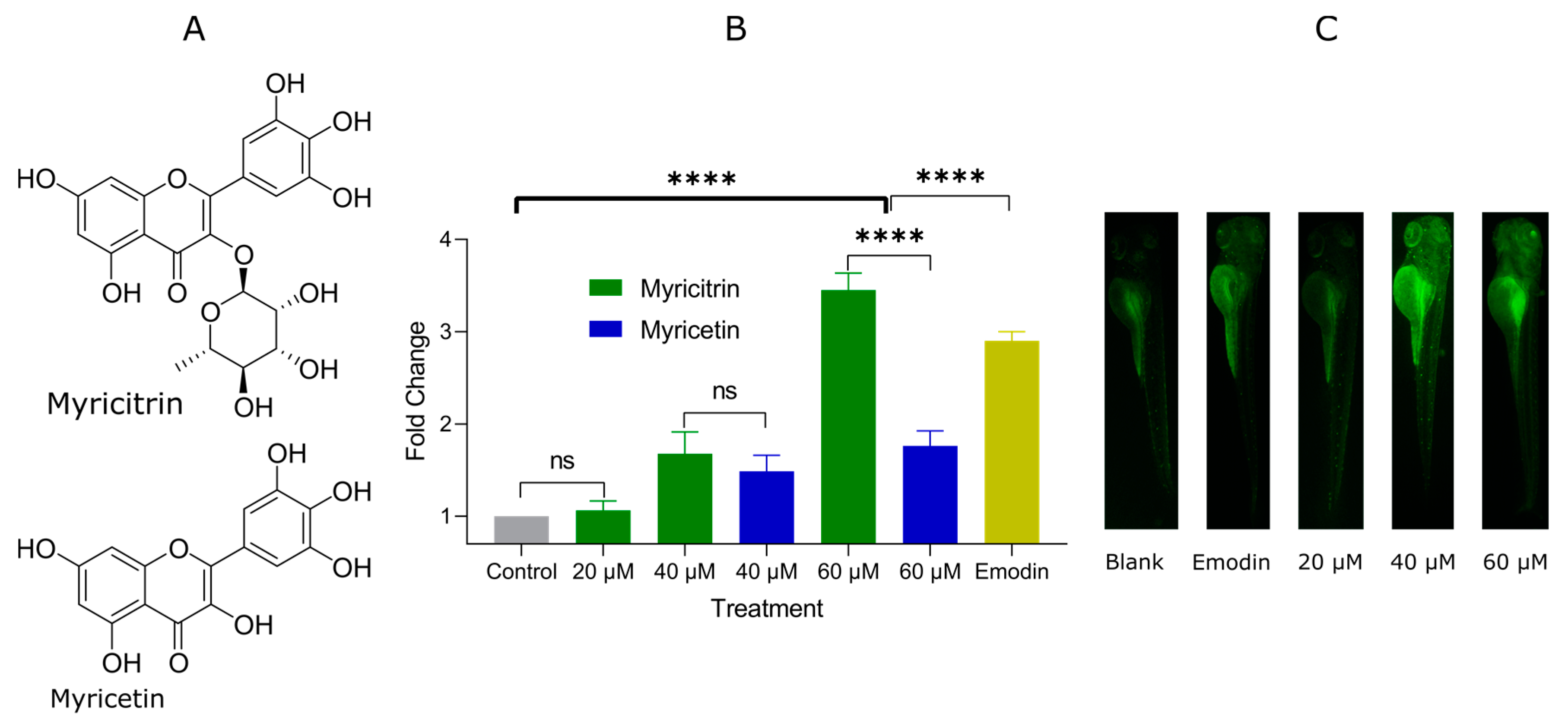 Pharmaceuticals 14 00662 g002