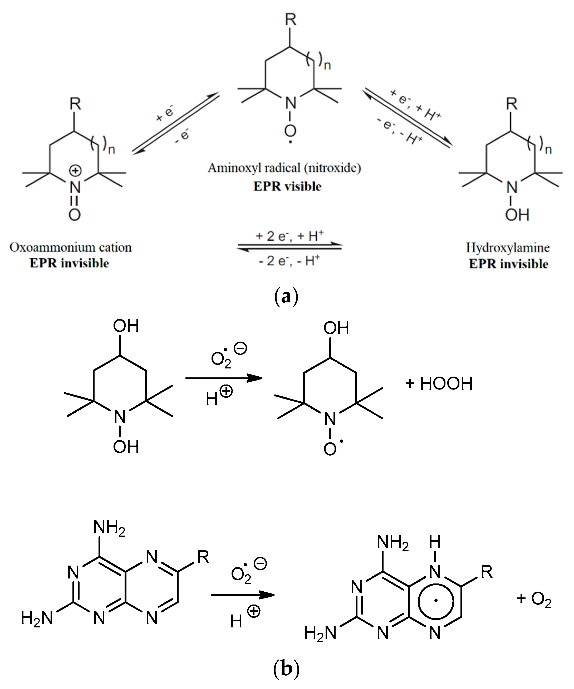 Pharmaceuticals 14 00665 g002