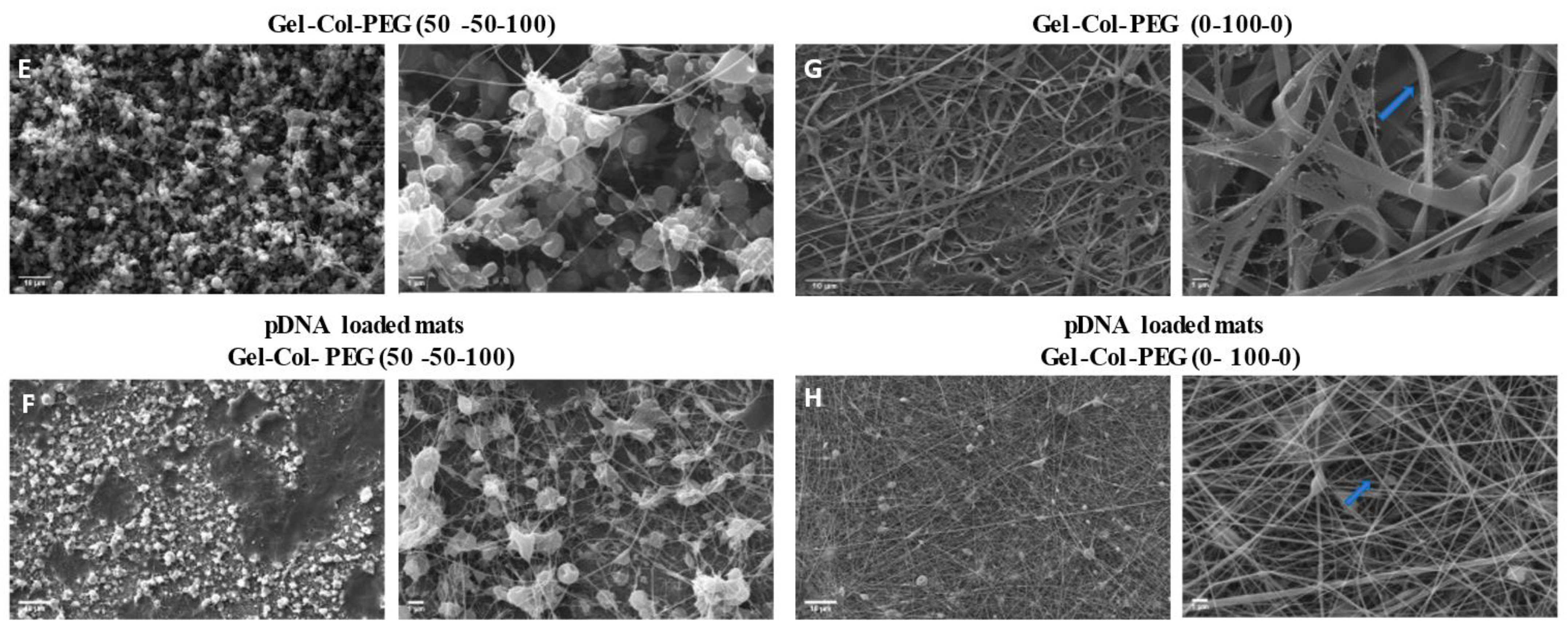 Pharmaceuticals 14 00666 g001b 550