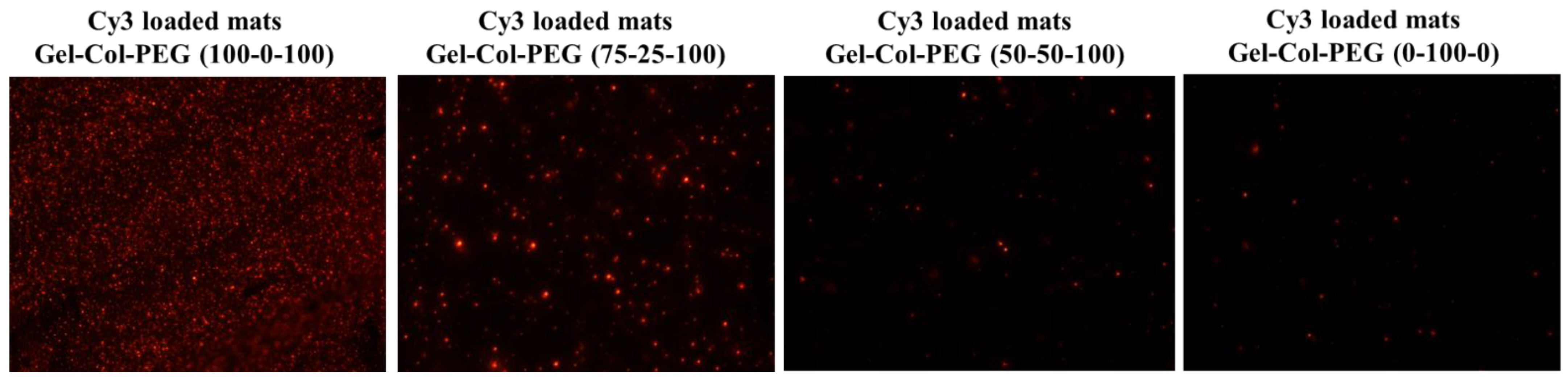 Pharmaceuticals 14 00666 g002 550