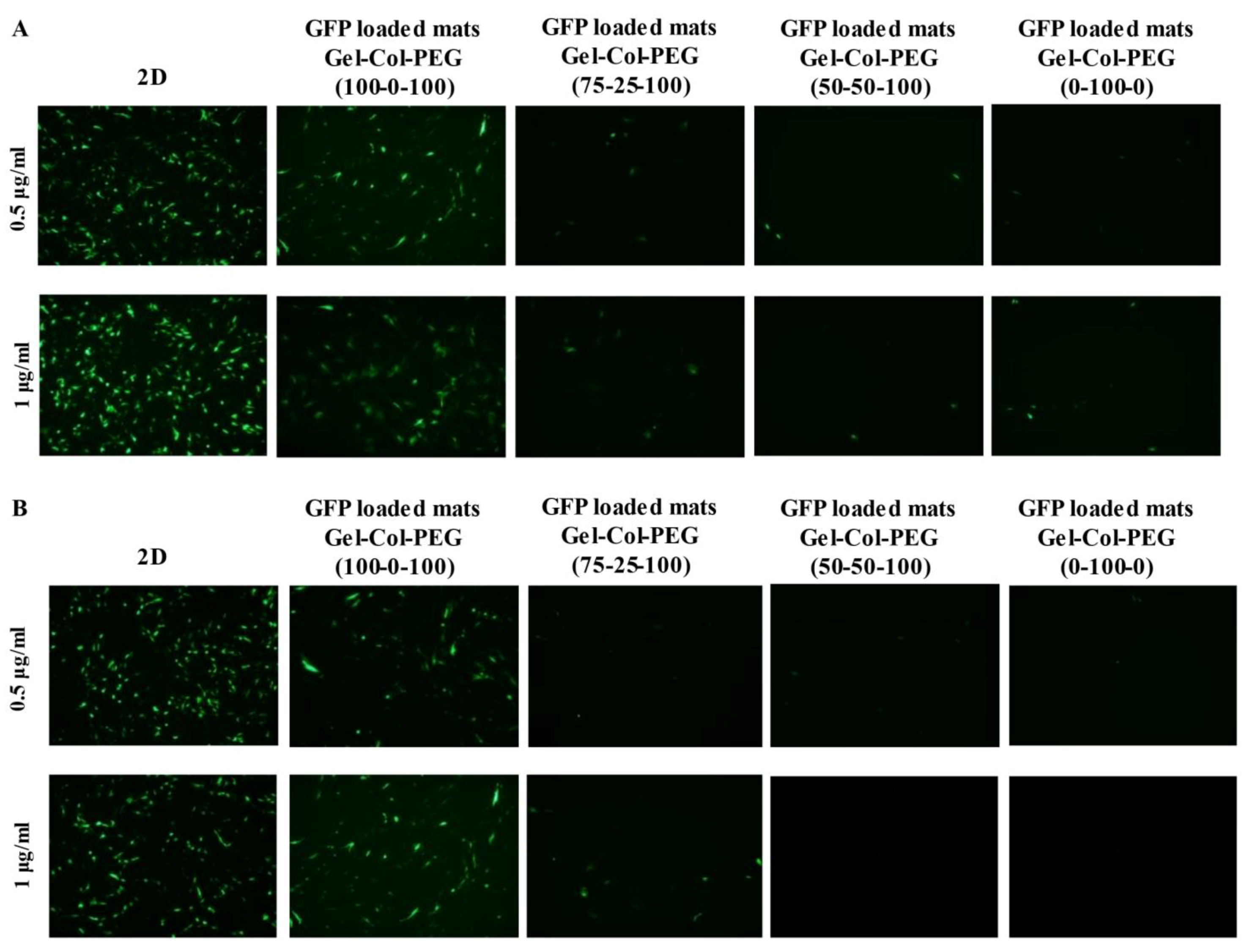 Pharmaceuticals 14 00666 g003 550