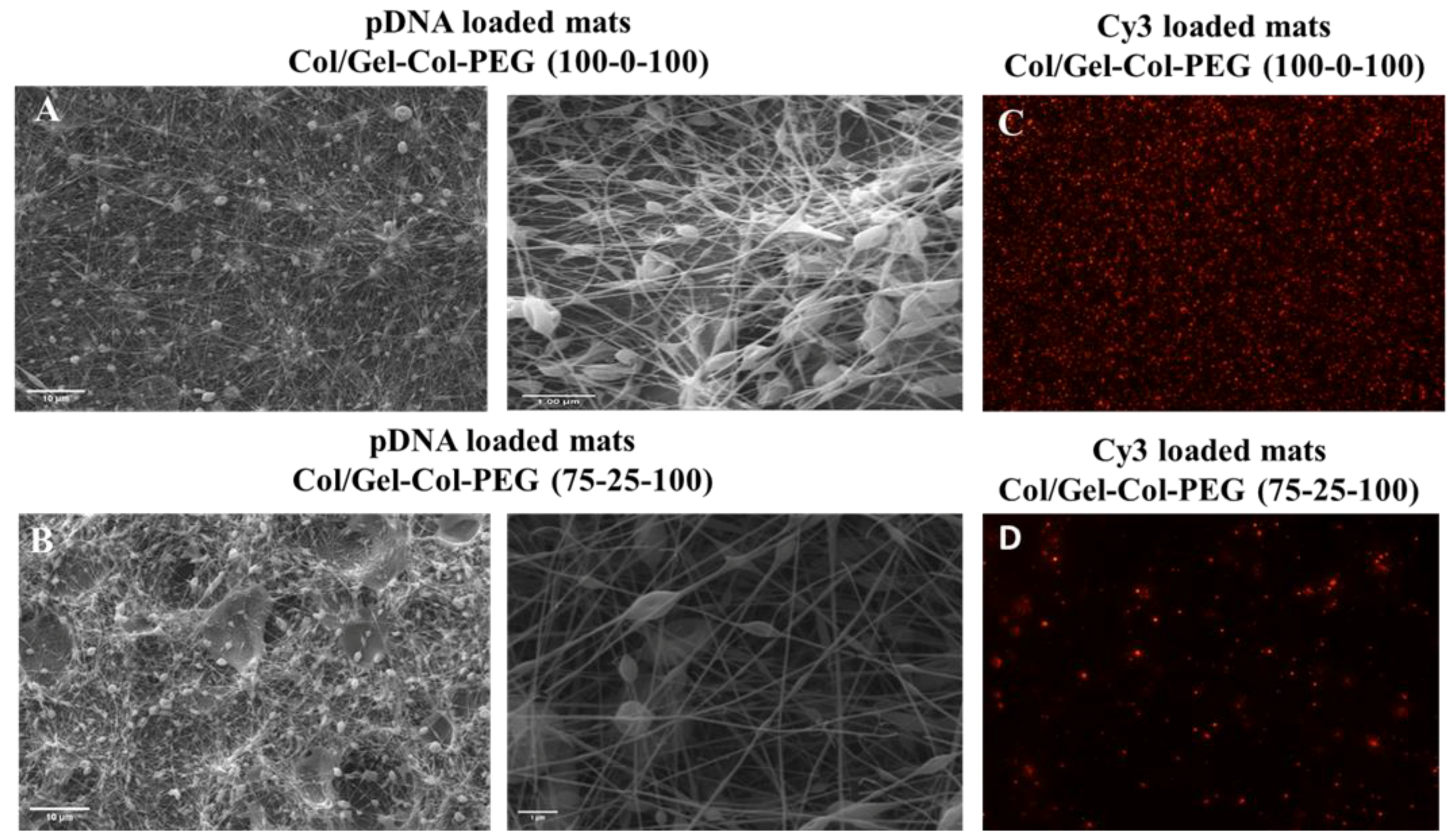Pharmaceuticals 14 00666 g005 550