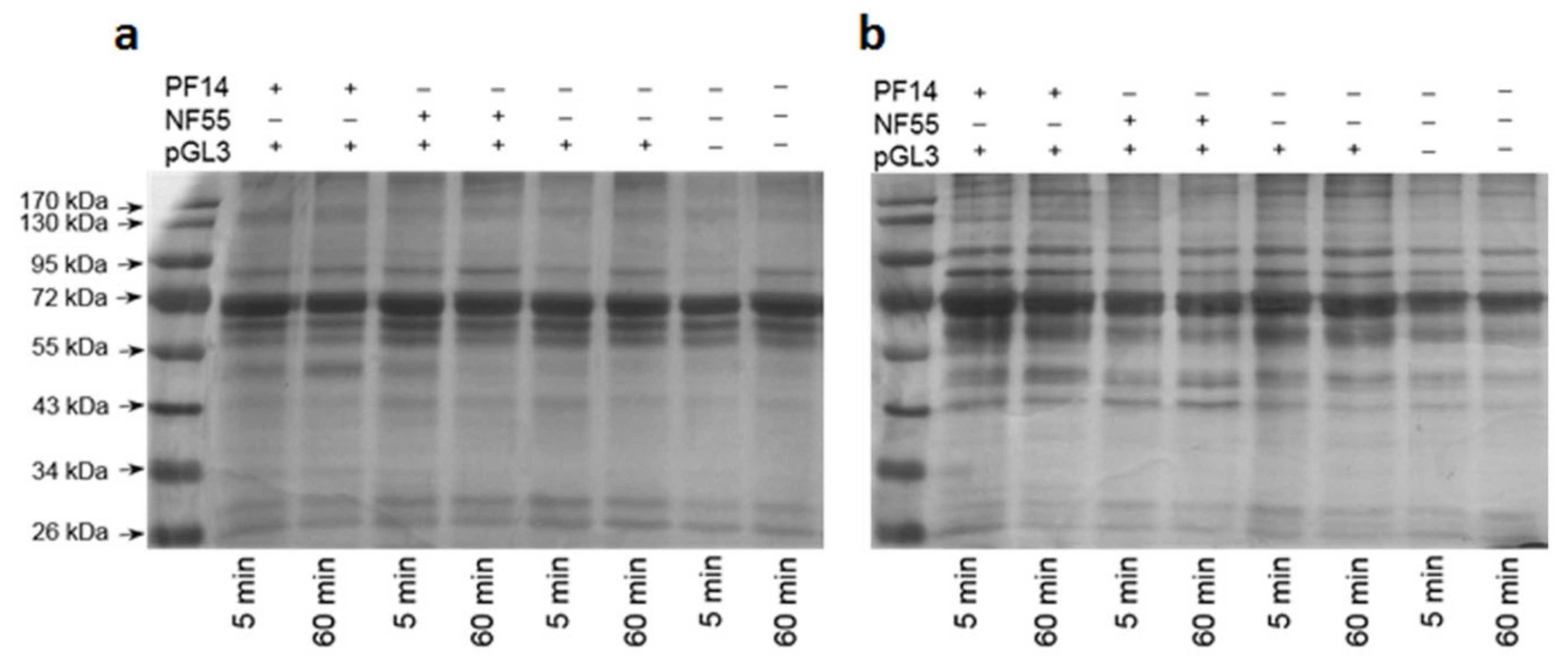 Pharmaceuticals 14 00667 g001