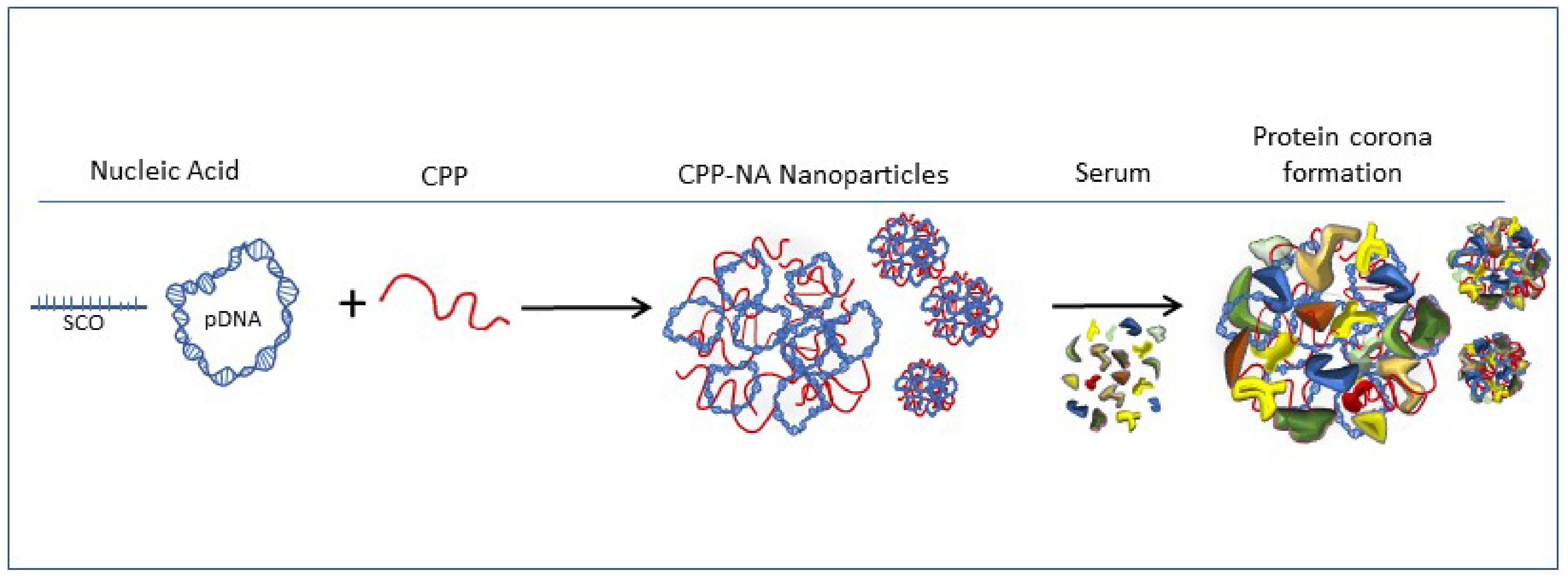 Pharmaceuticals 14 00667 sch001