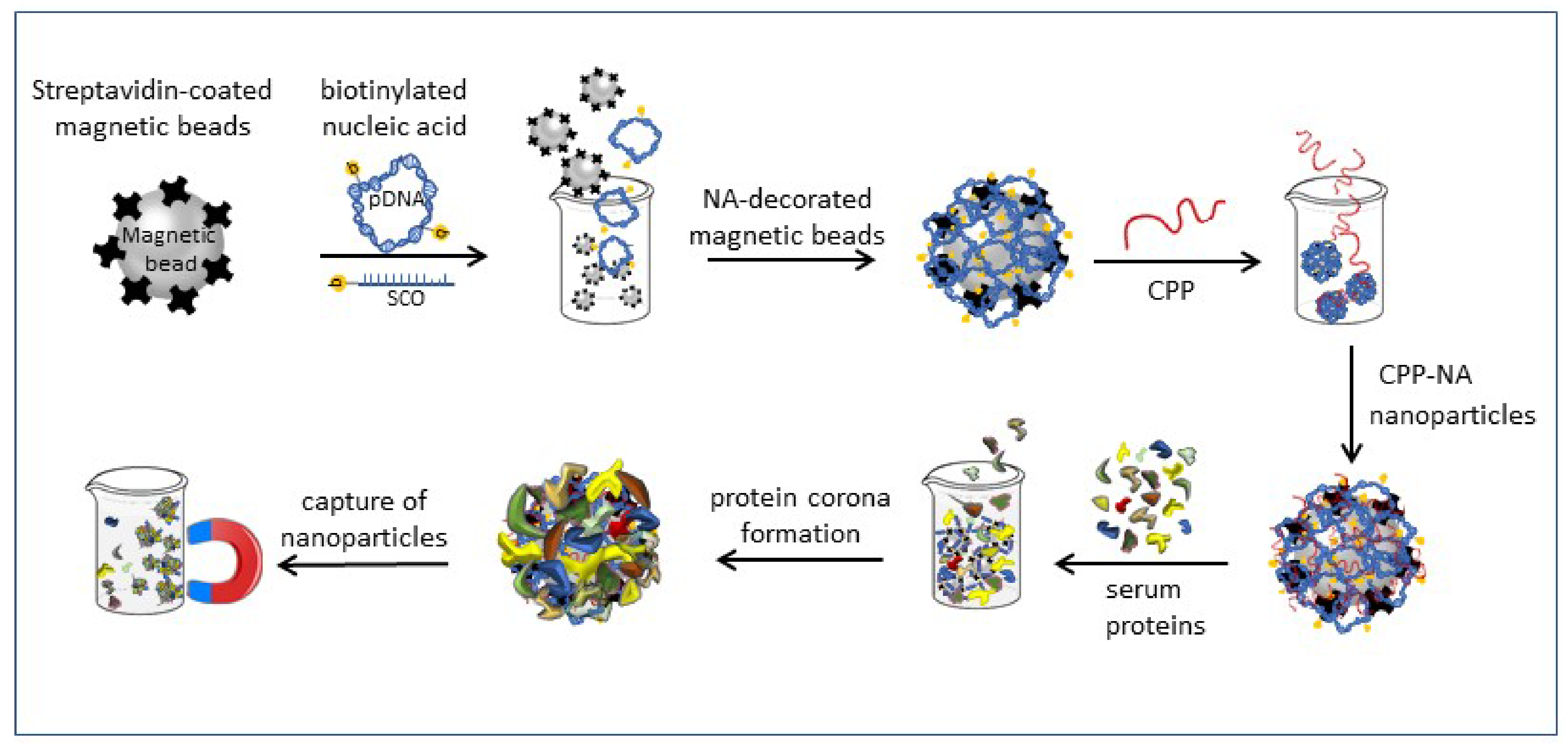Pharmaceuticals 14 00667 sch002