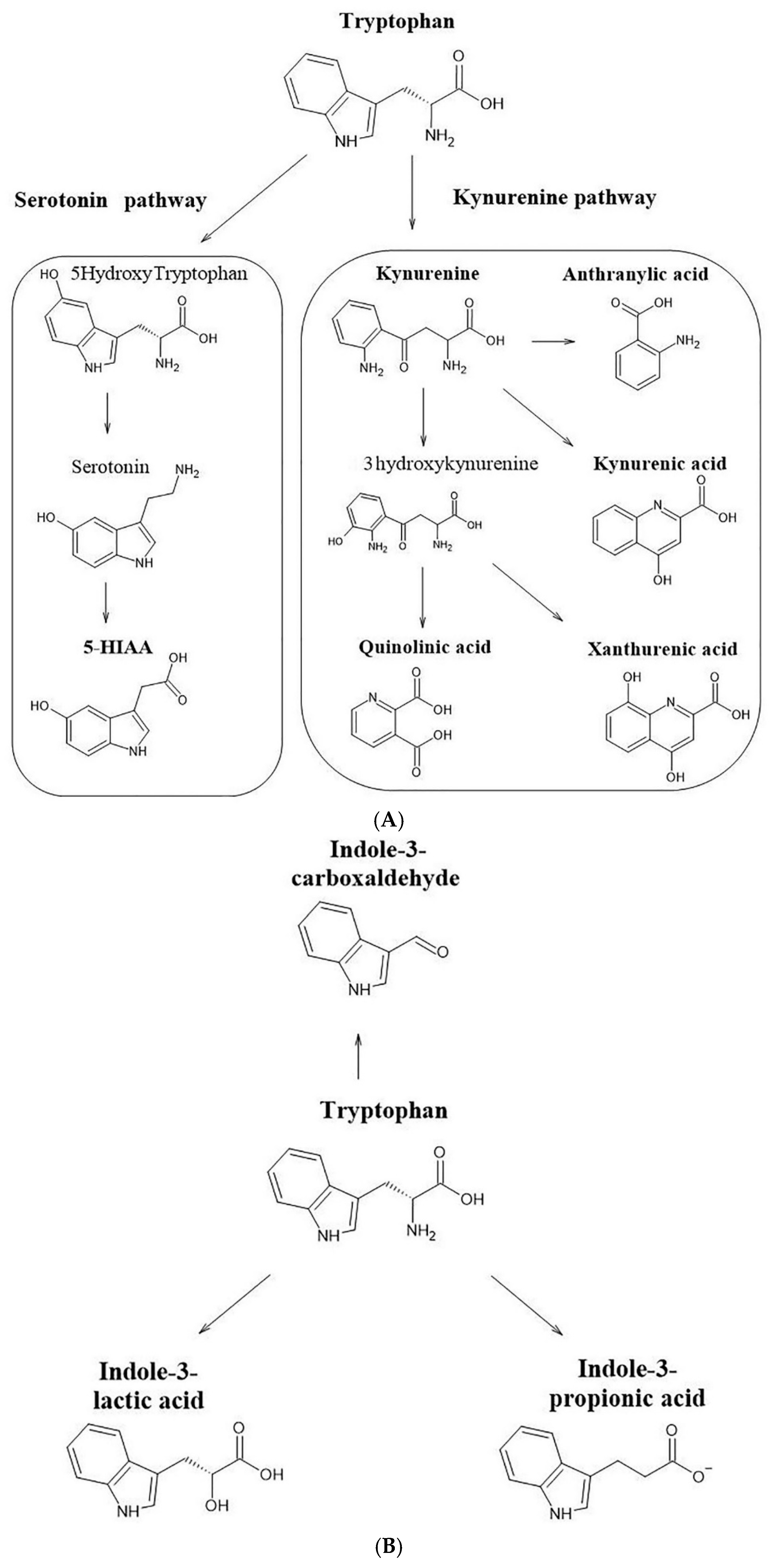 Pharmaceuticals 14 00668 g006a