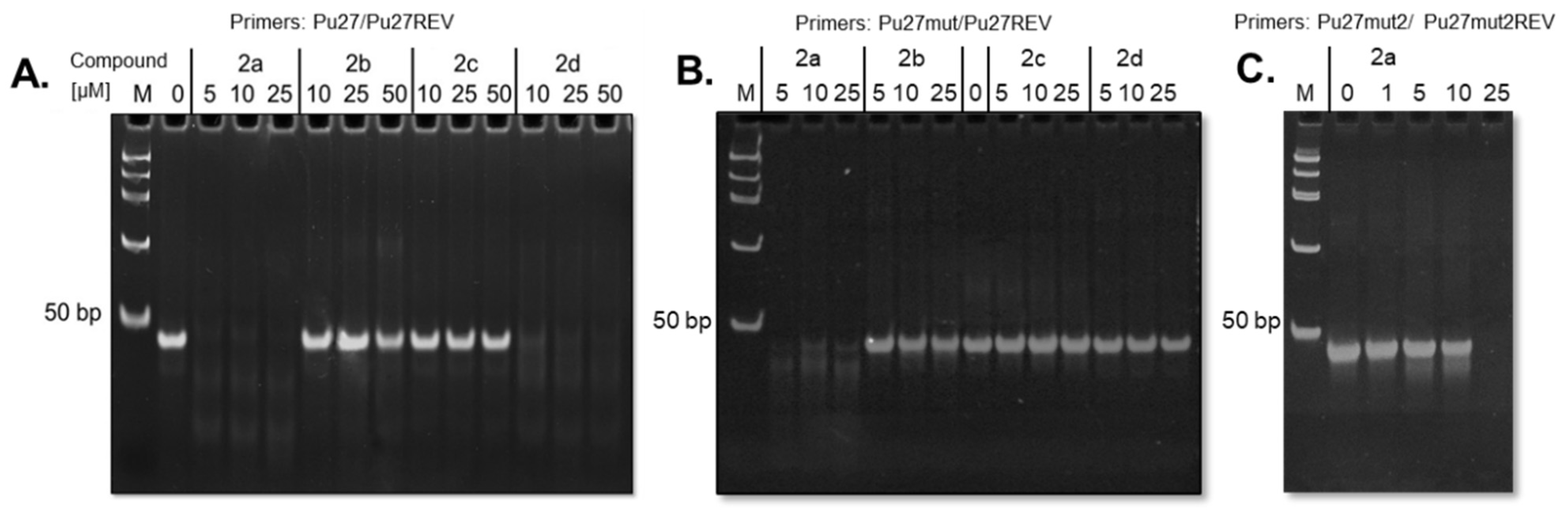 Pharmaceuticals 14 00669 g003
