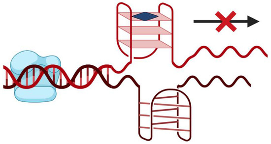 G-Quadruplex-Based Drug Delivery Systems for Cancer Therapy