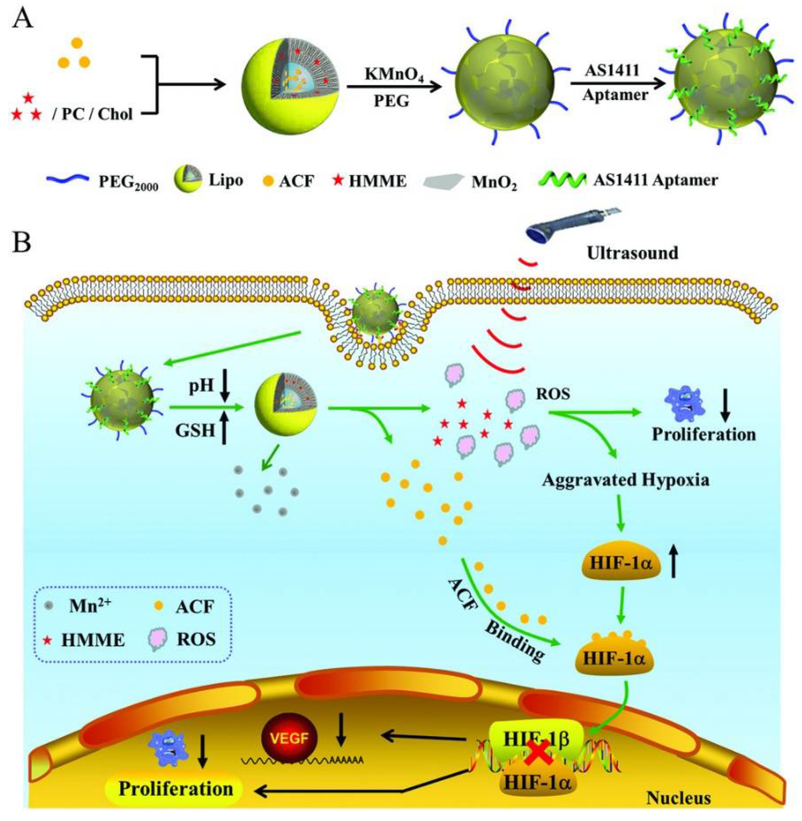 Pharmaceuticals 14 00671 g005