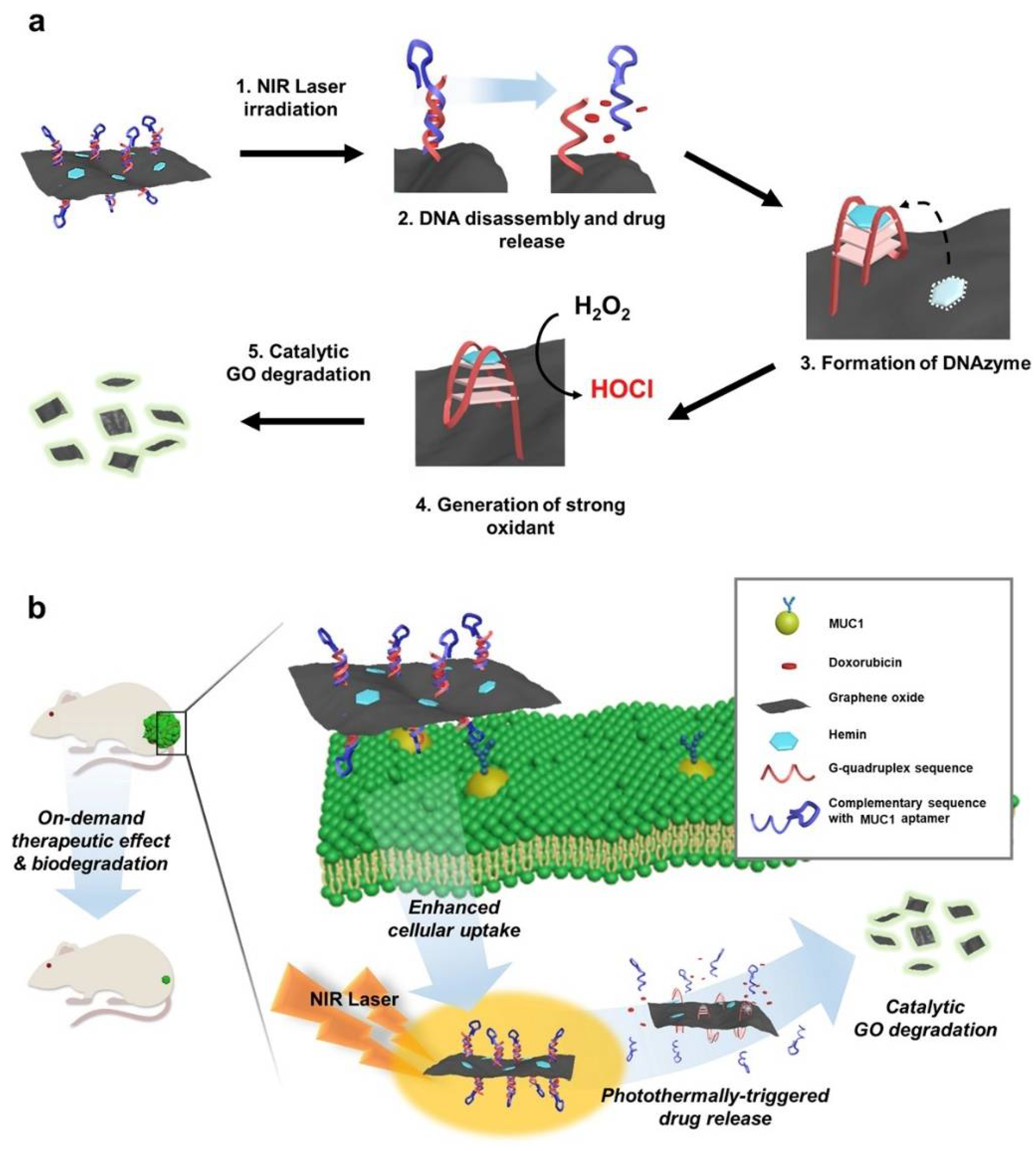 Pharmaceuticals 14 00671 g011