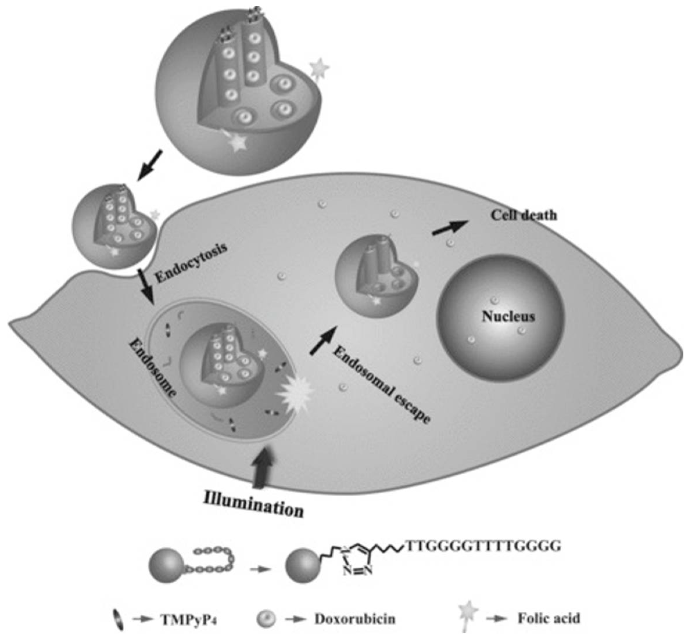 Pharmaceuticals 14 00671 g012