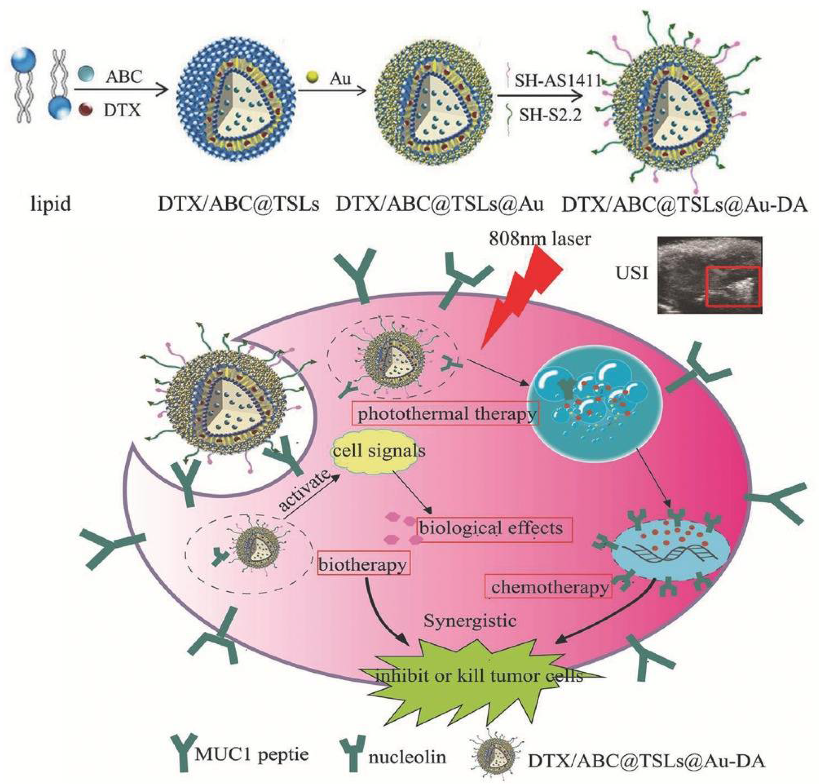 Pharmaceuticals 14 00671 g013