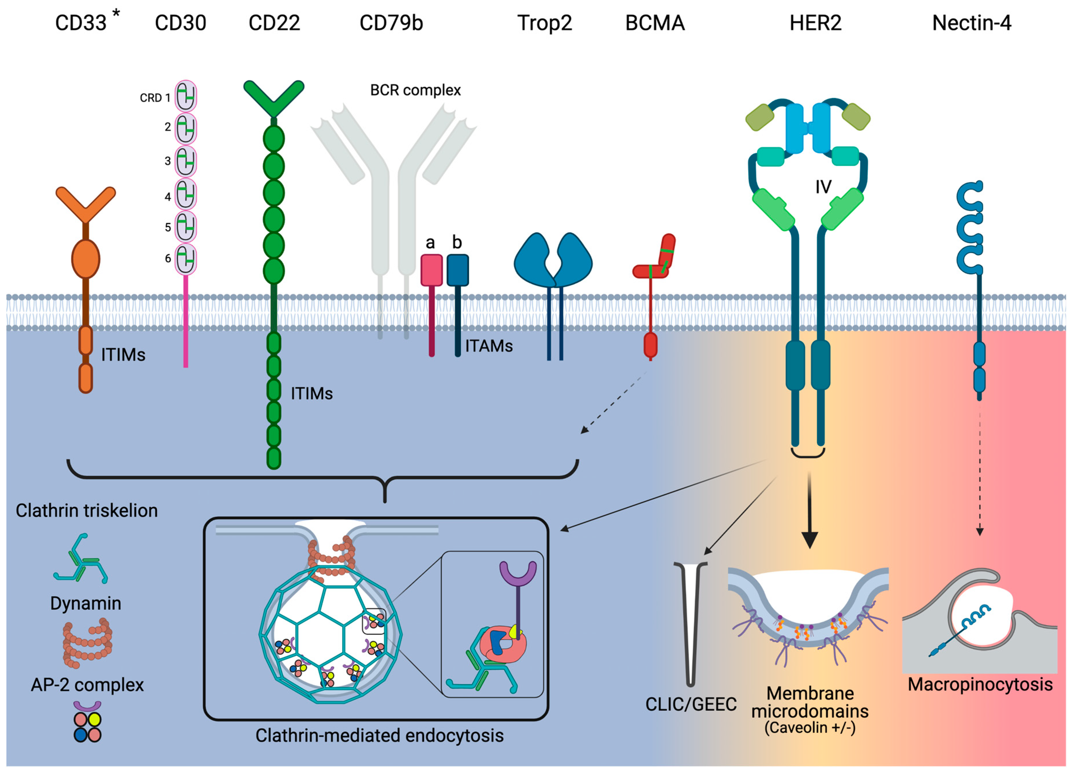 Pharmaceuticals 14 00674 g001 Pharmaceuticals 14 00674 g001