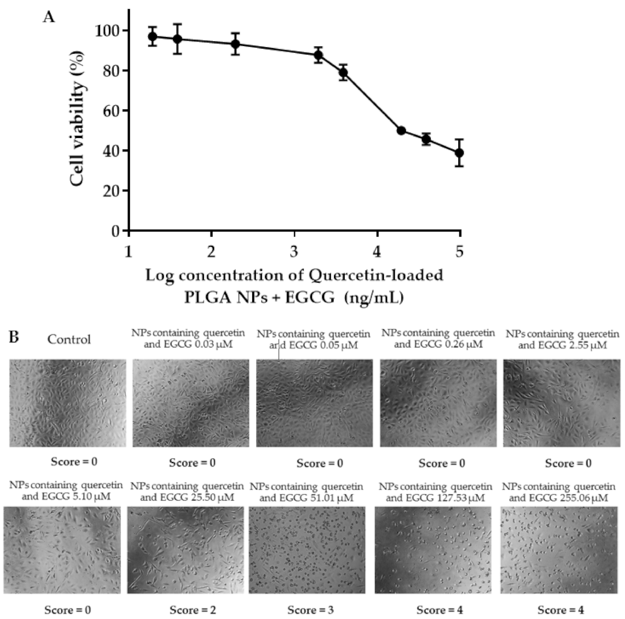 Pharmaceuticals 14 00679 g008 550