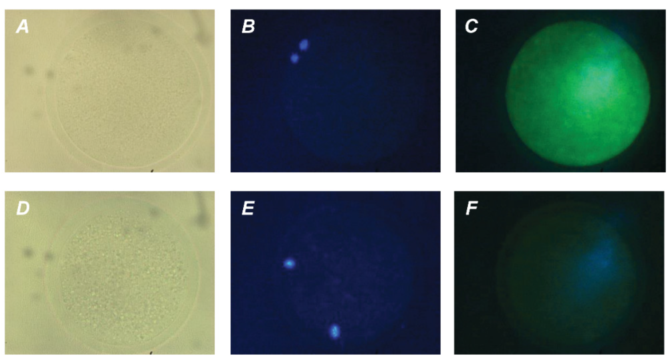 Pharmaceuticals 14 00684 g005 550