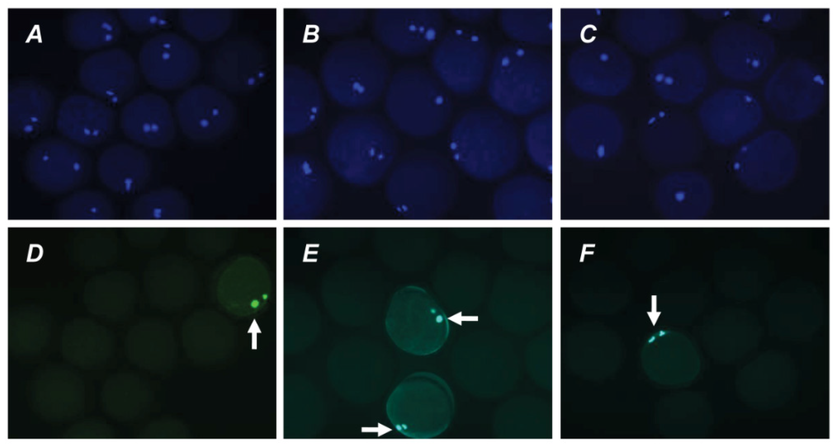 Pharmaceuticals 14 00684 g006 550