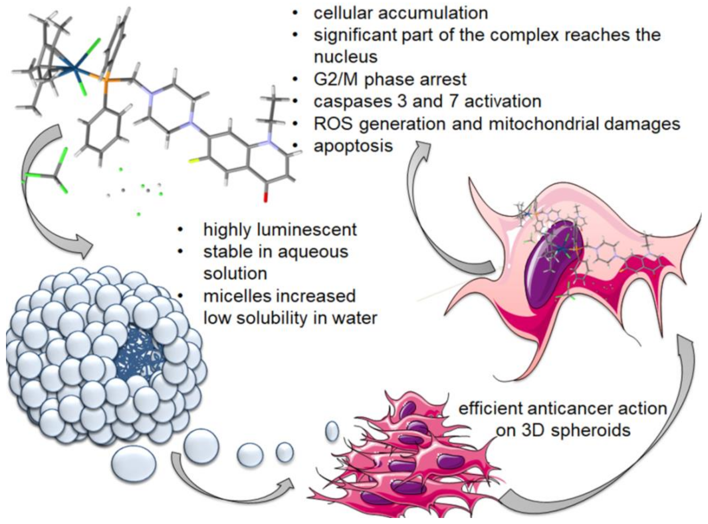 Pharmaceuticals 14 00685 g001 550