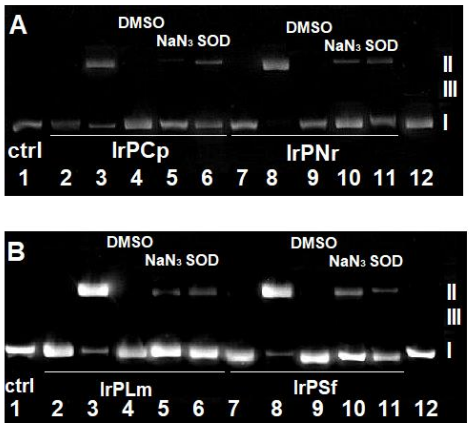 Pharmaceuticals 14 00685 g005 550