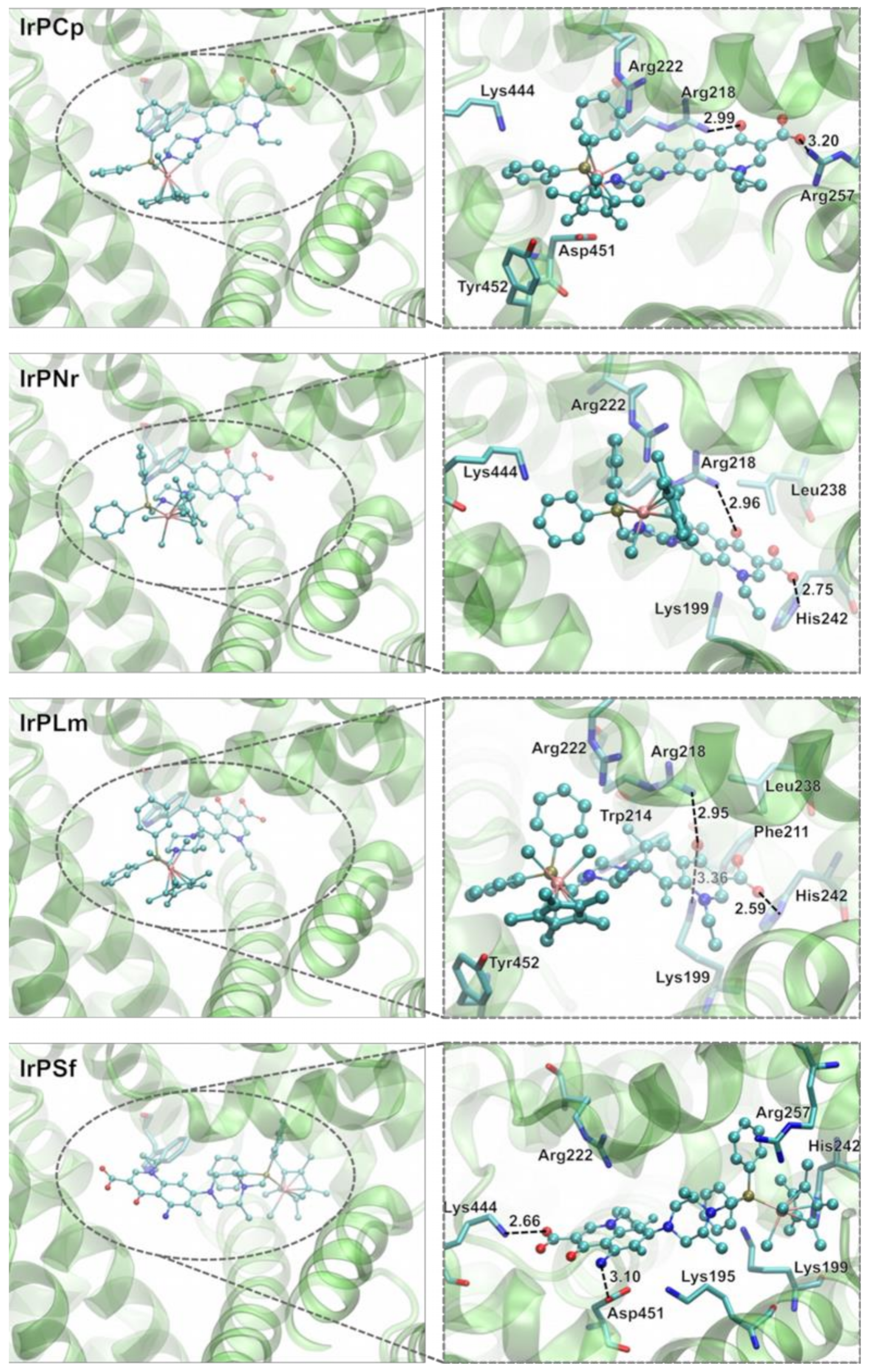 Pharmaceuticals 14 00685 g008 550
