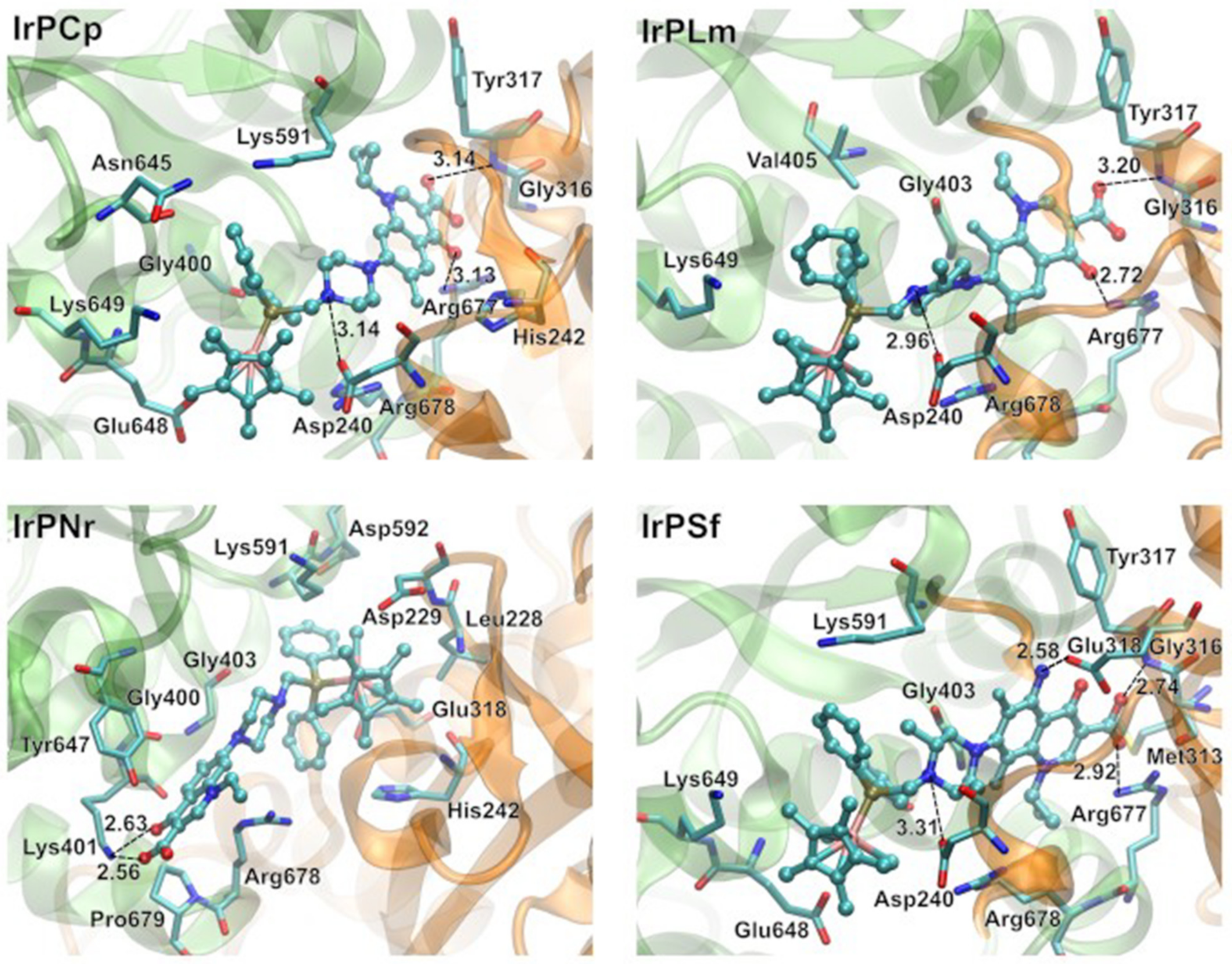 Pharmaceuticals 14 00685 g011 550