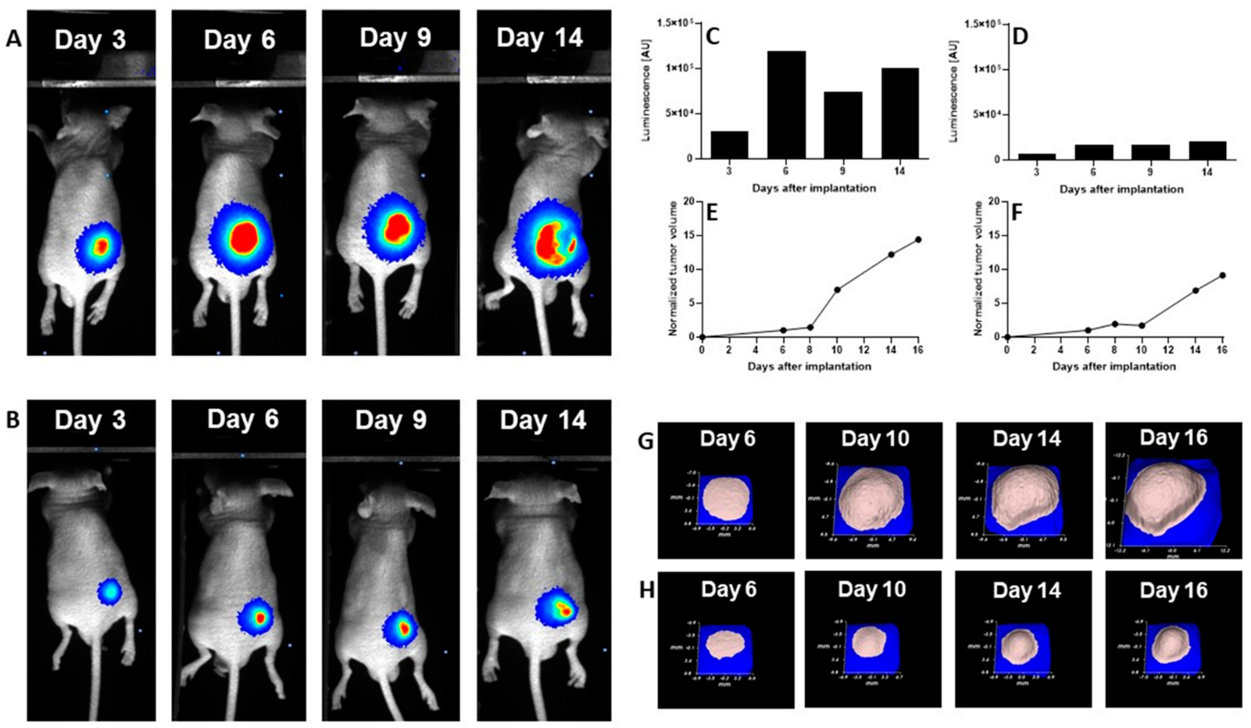 Pharmaceuticals 14 00688 g012 550